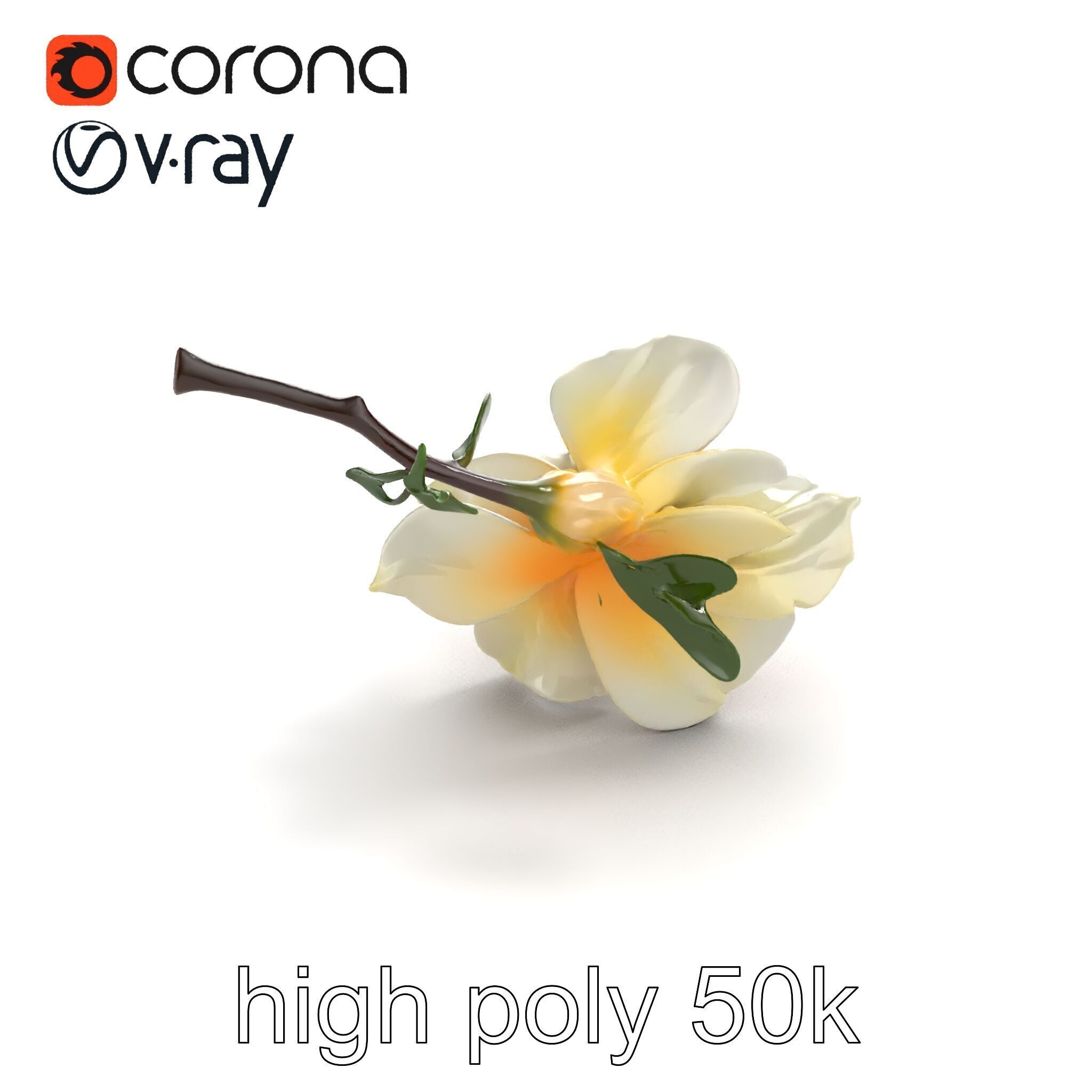 Lonicera Double Bloom Intricate Petal Detail model pack Low-poly 3D model_9