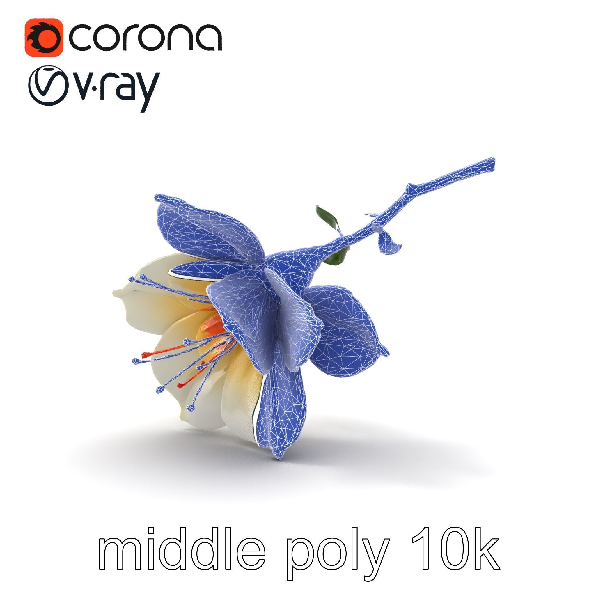 Lonicera Double Bloom Intricate Petal Detail model pack Low-poly 3D model_28