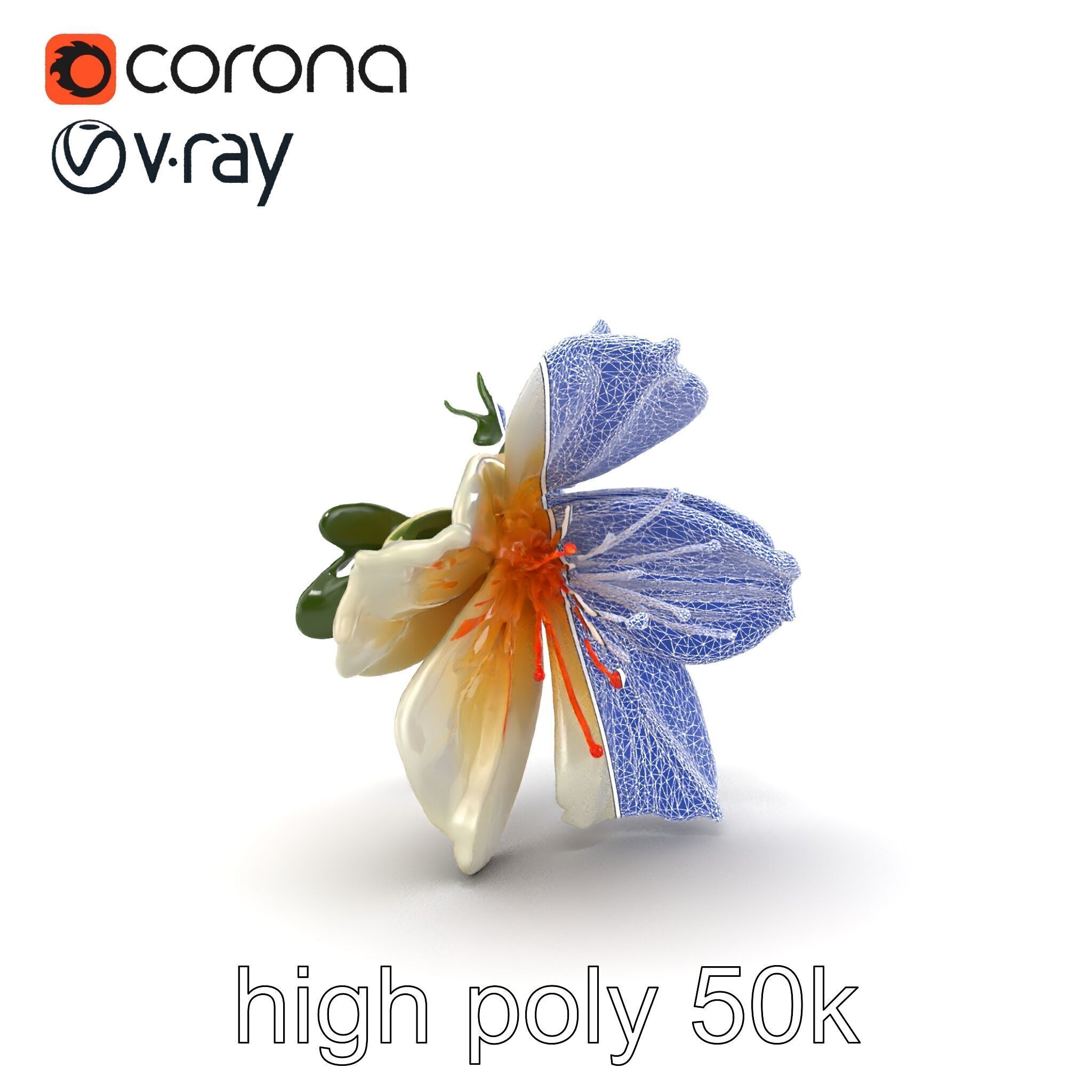 Lonicera Double Bloom Intricate Petal Detail model pack Low-poly 3D model_29