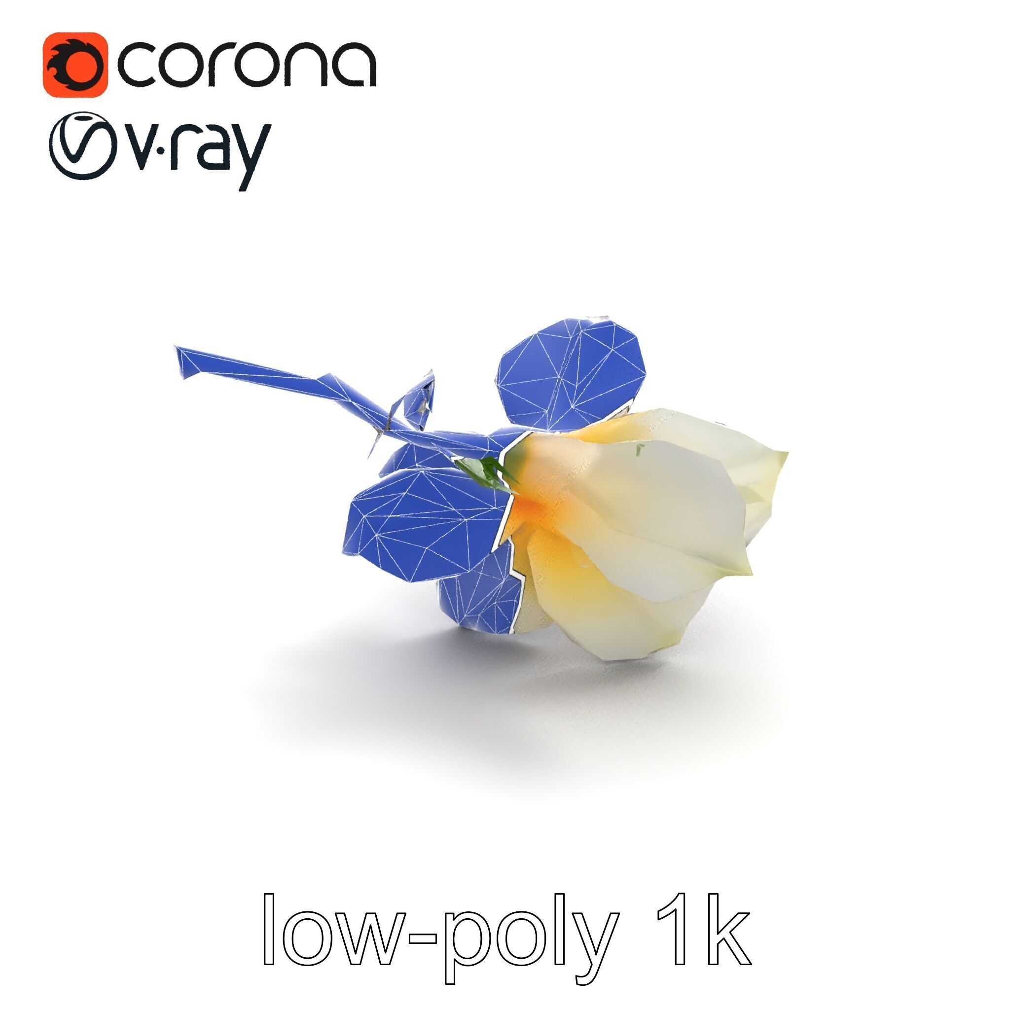 Lonicera Double Bloom Intricate Petal Detail model pack Low-poly 3D model_10