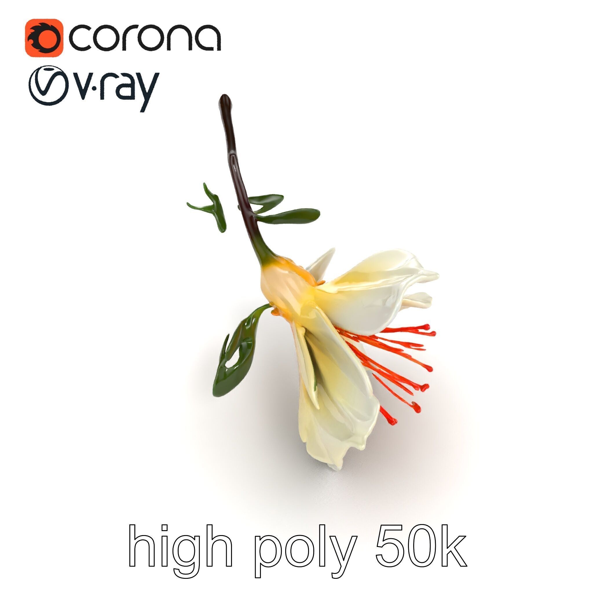 Lonicera Double Bloom Intricate Petal Detail model pack Low-poly 3D model_16