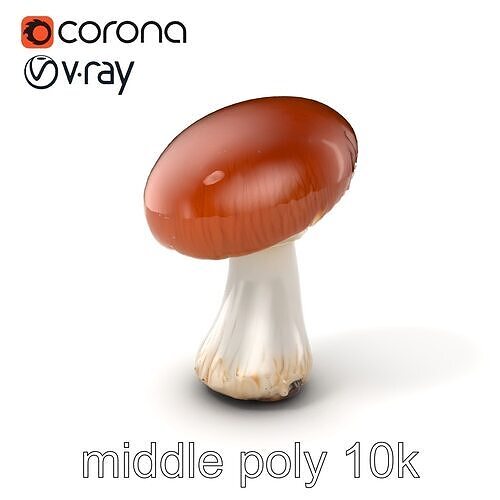 Classic Boletus Edulis Mushroom model pack Low-poly 3D model