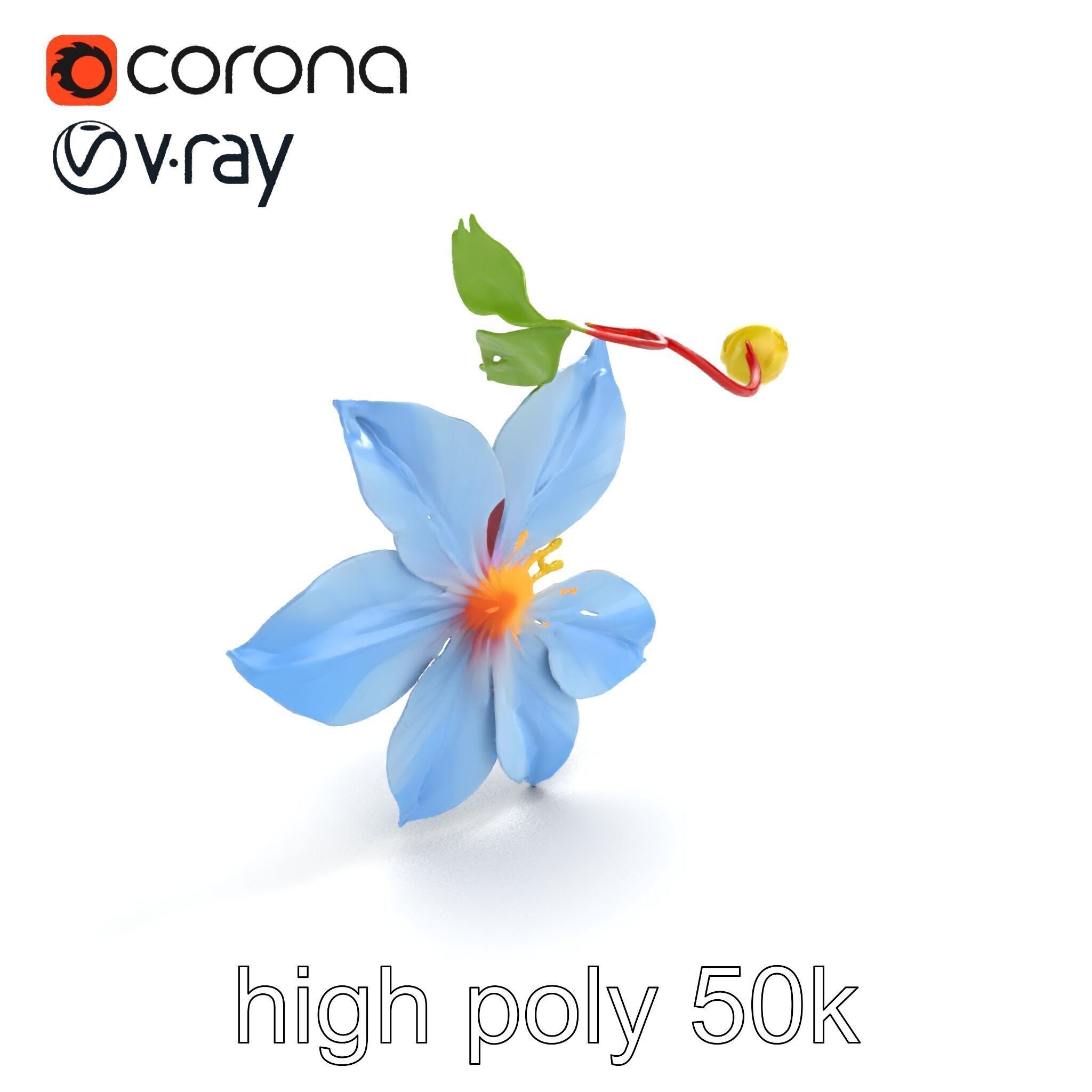 Clematis Vine Flower Model Pack Low-poly 3D model_9