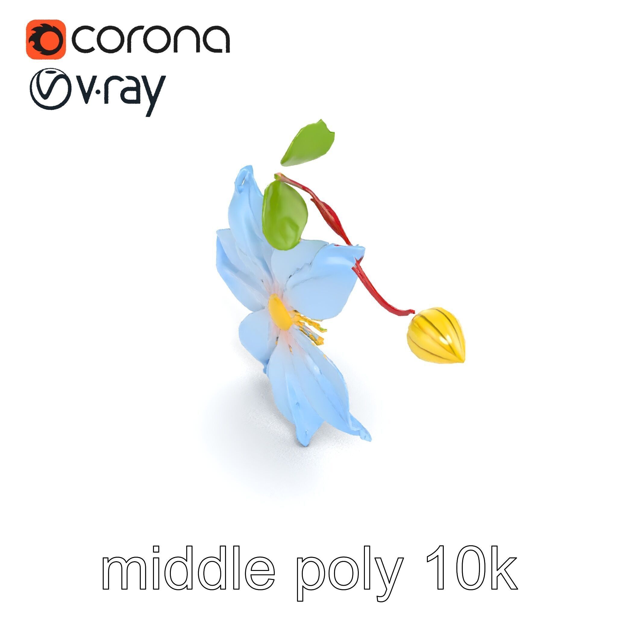 Clematis Vine Flower Model Pack Low-poly 3D model_26