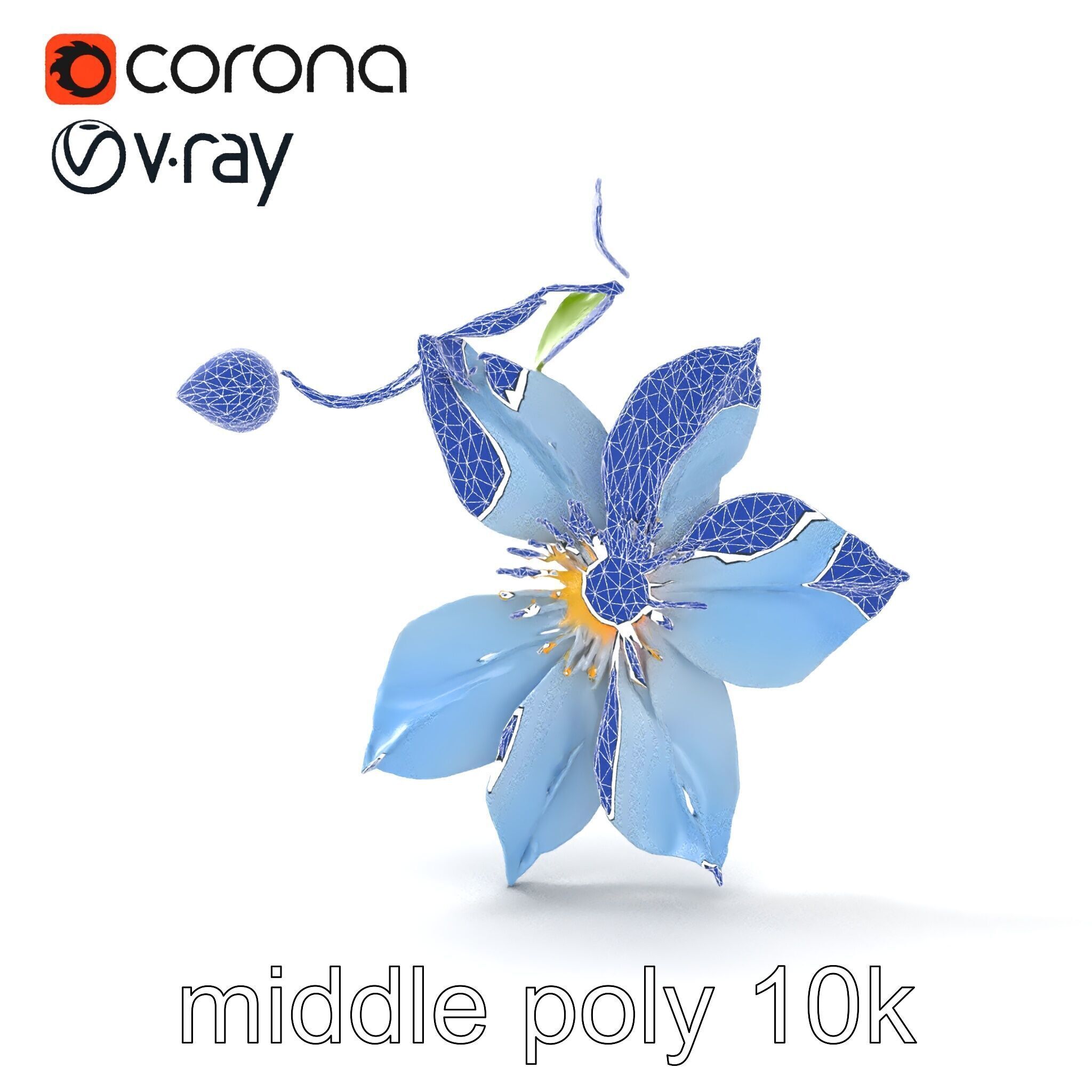 Clematis Vine Flower Model Pack Low-poly 3D model_30