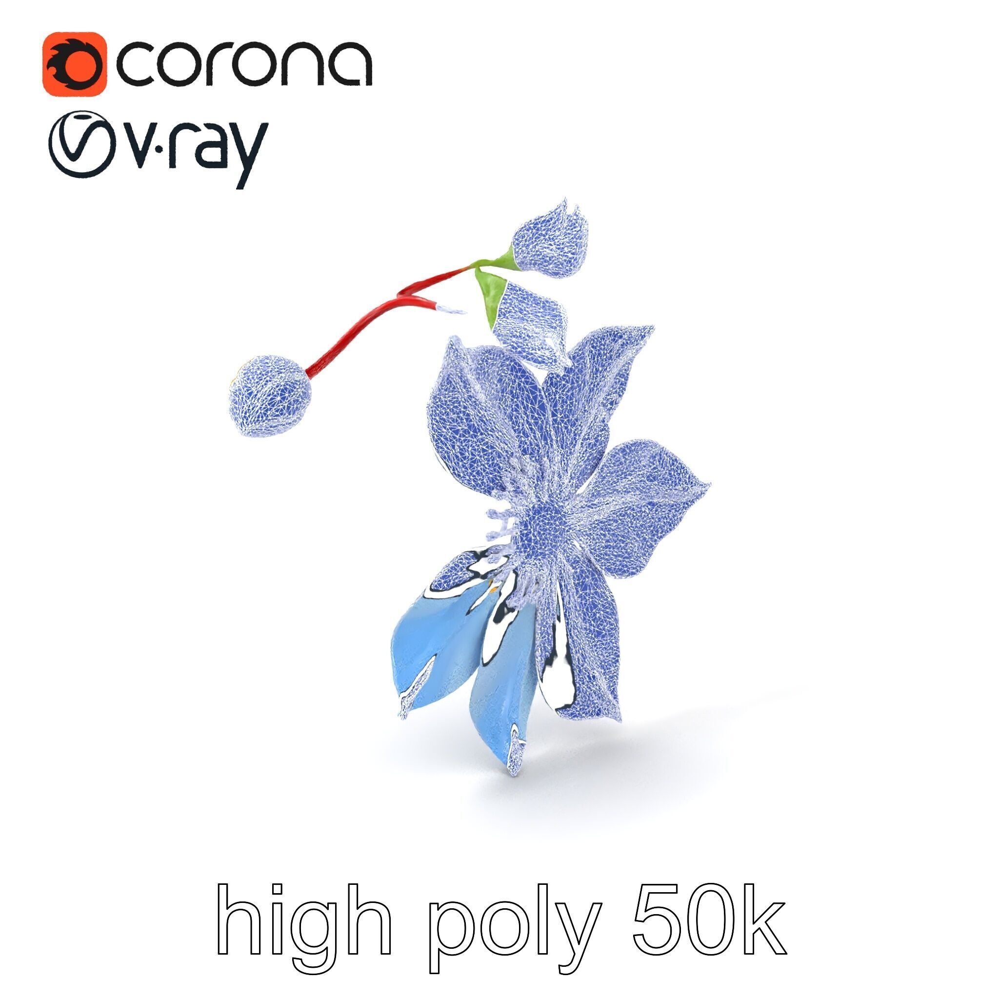 Clematis Vine Flower Model Pack Low-poly 3D model_1