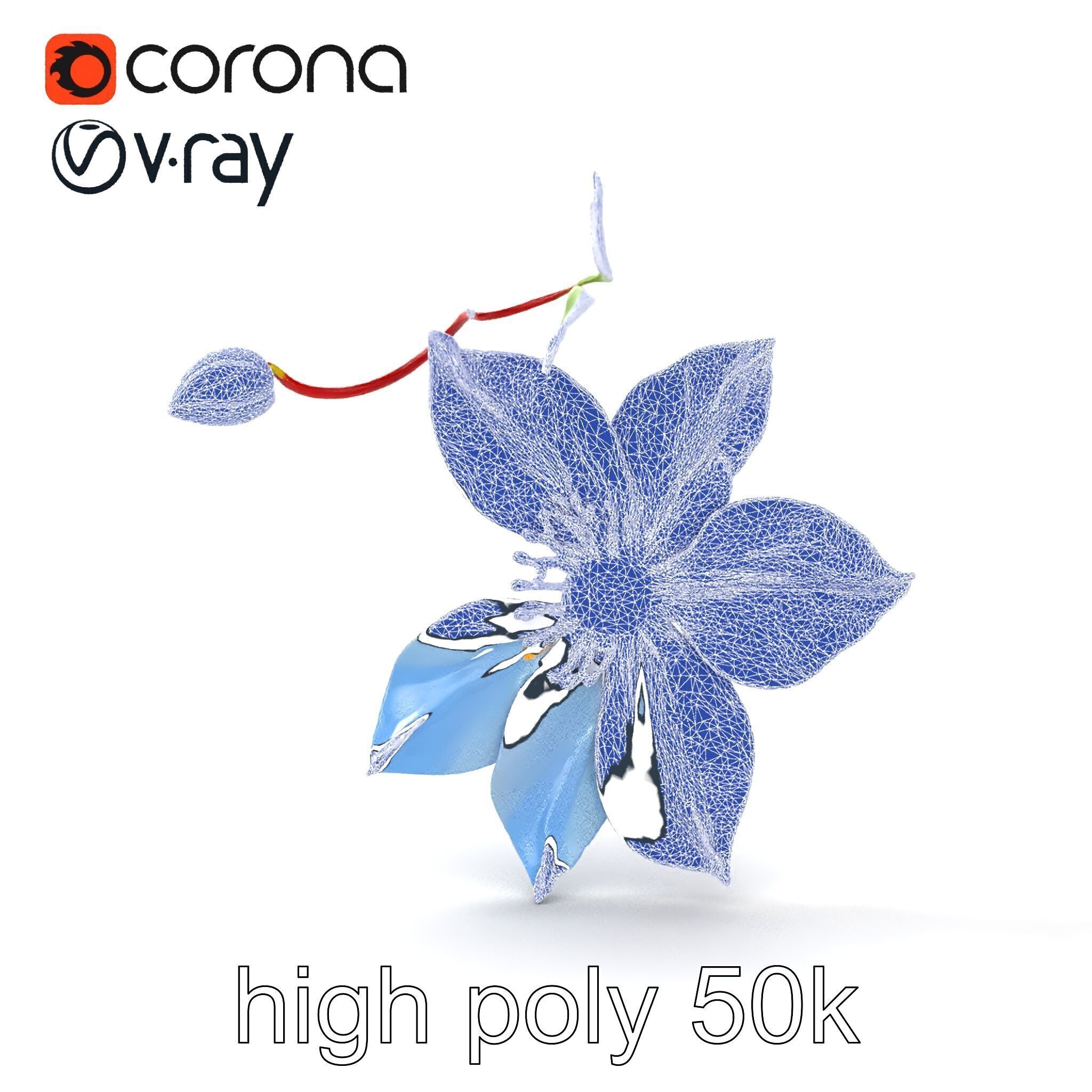 Clematis Vine Flower Model Pack Low-poly 3D model_29