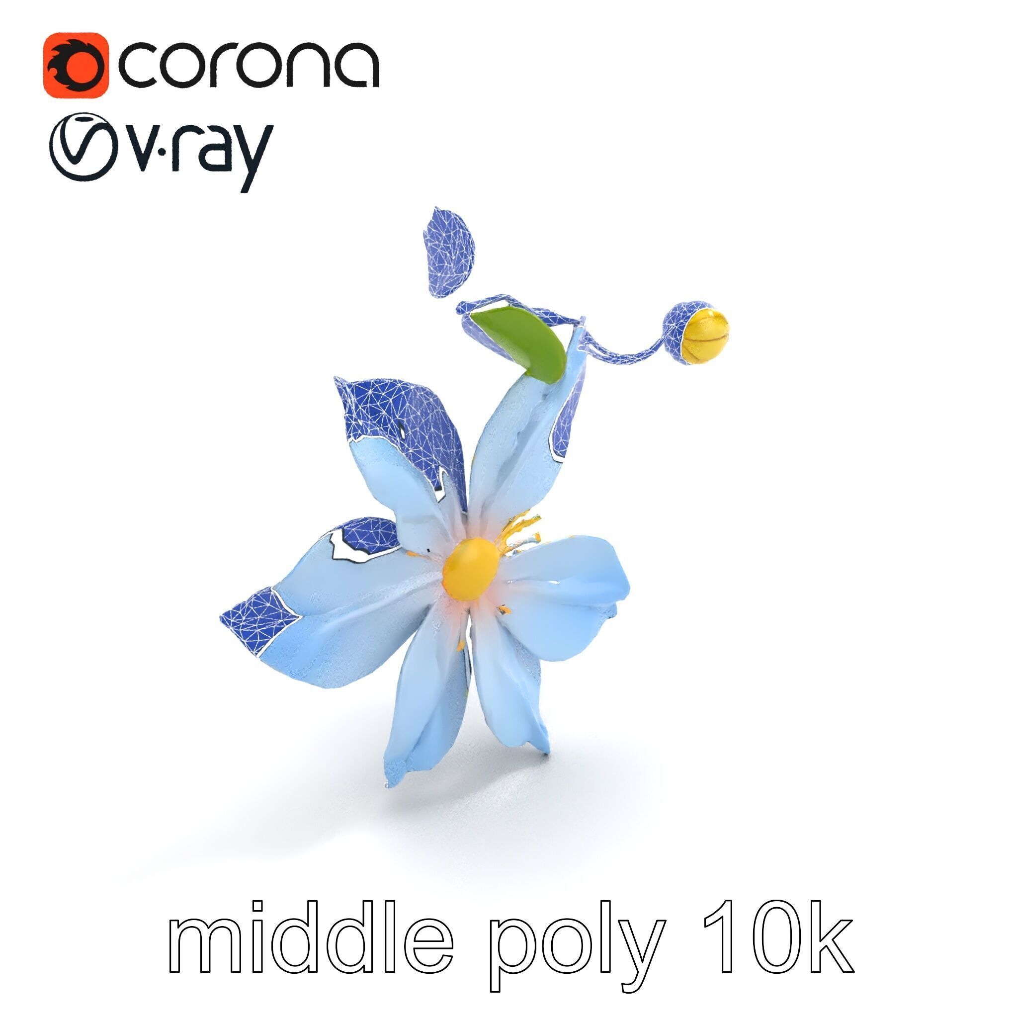 Clematis Vine Flower Model Pack Low-poly 3D model_10