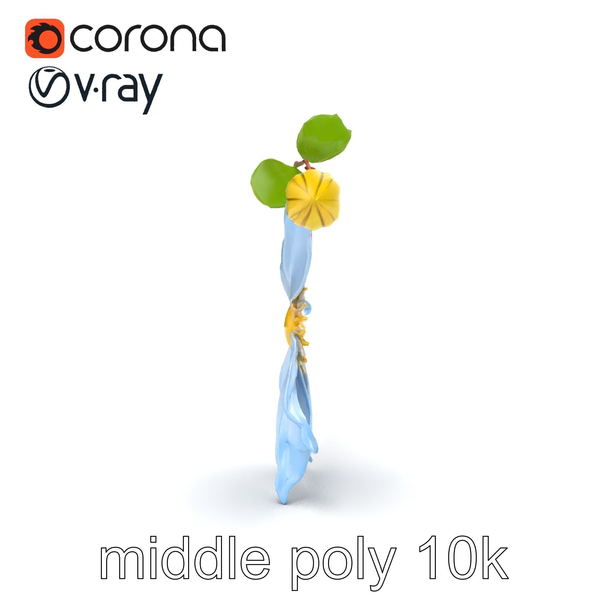 Clematis Vine Flower Model Pack Low-poly 3D model_22