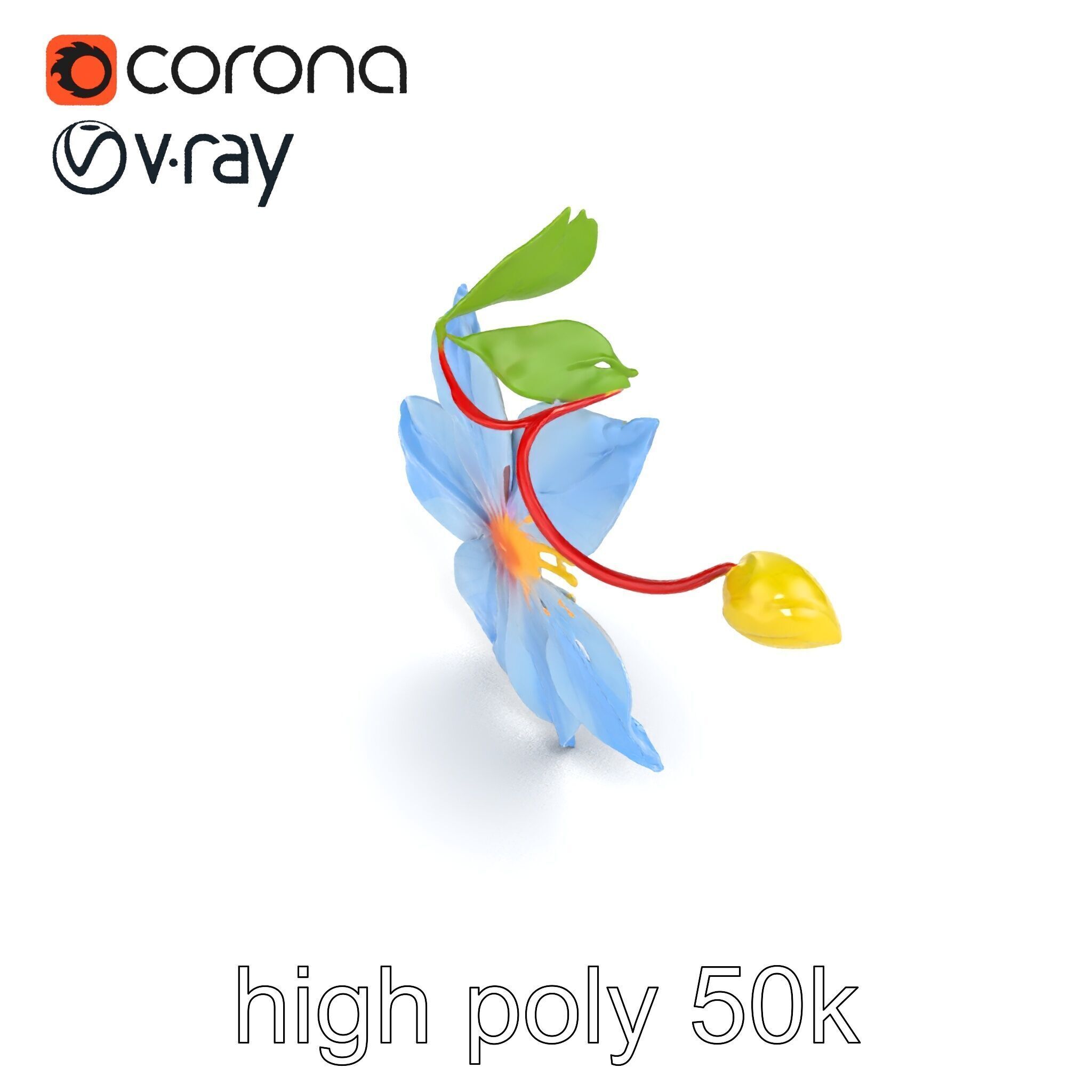 Clematis Vine Flower Model Pack Low-poly 3D model_13