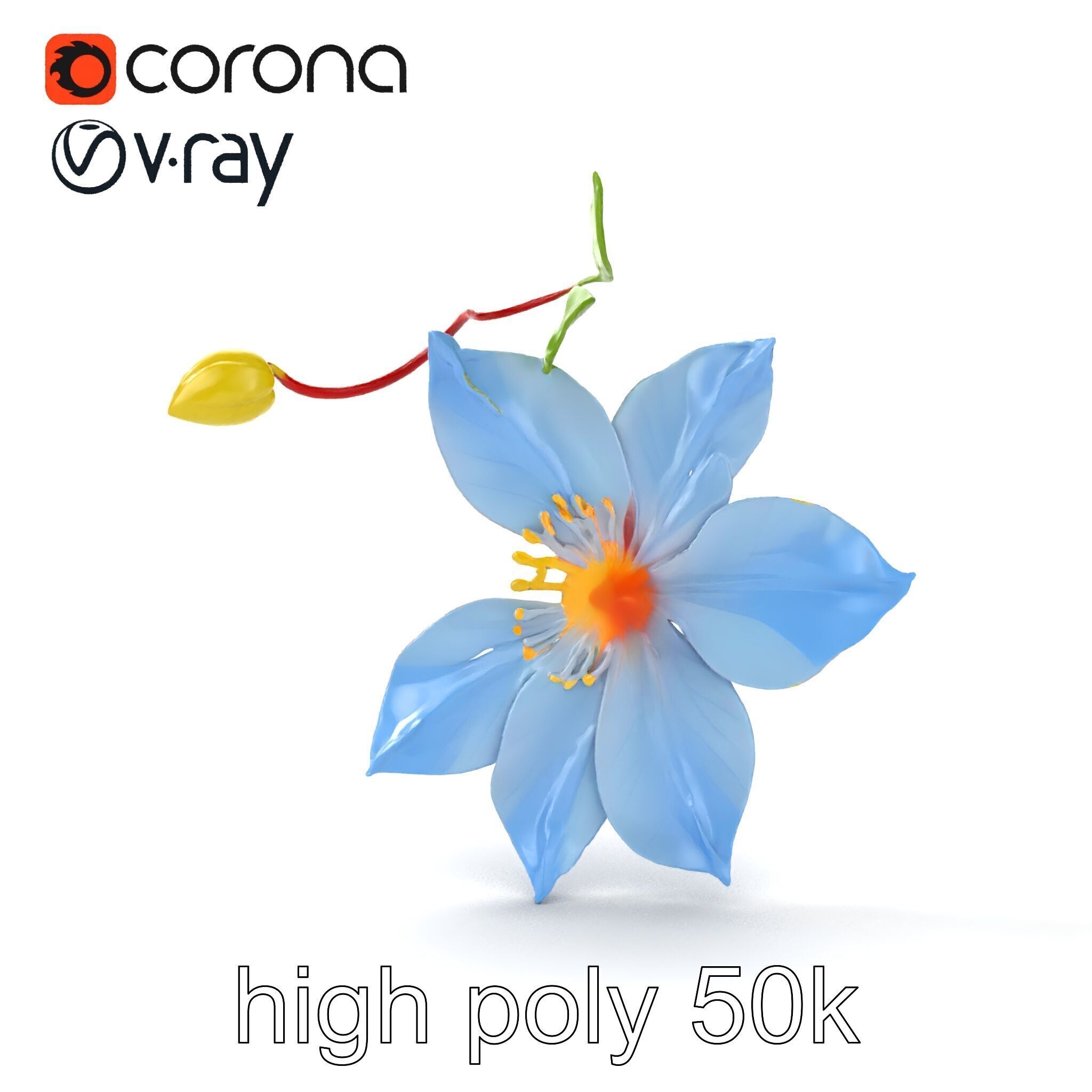 Clematis Vine Flower Model Pack Low-poly 3D model_23