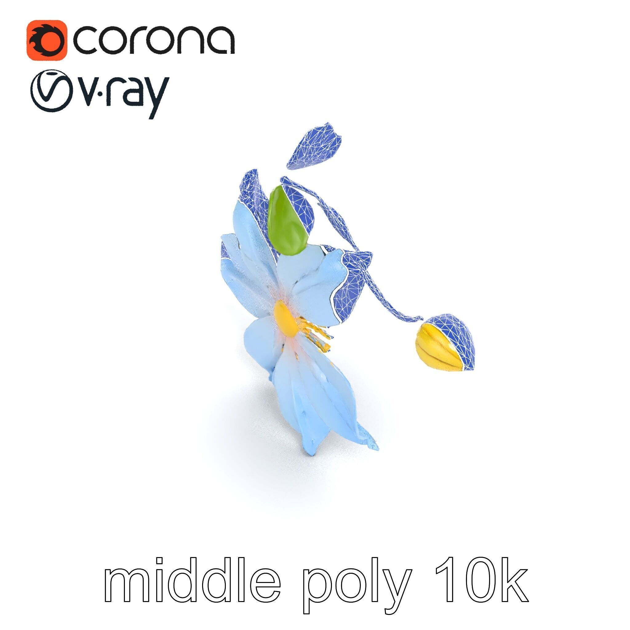 Clematis Vine Flower Model Pack Low-poly 3D model_28