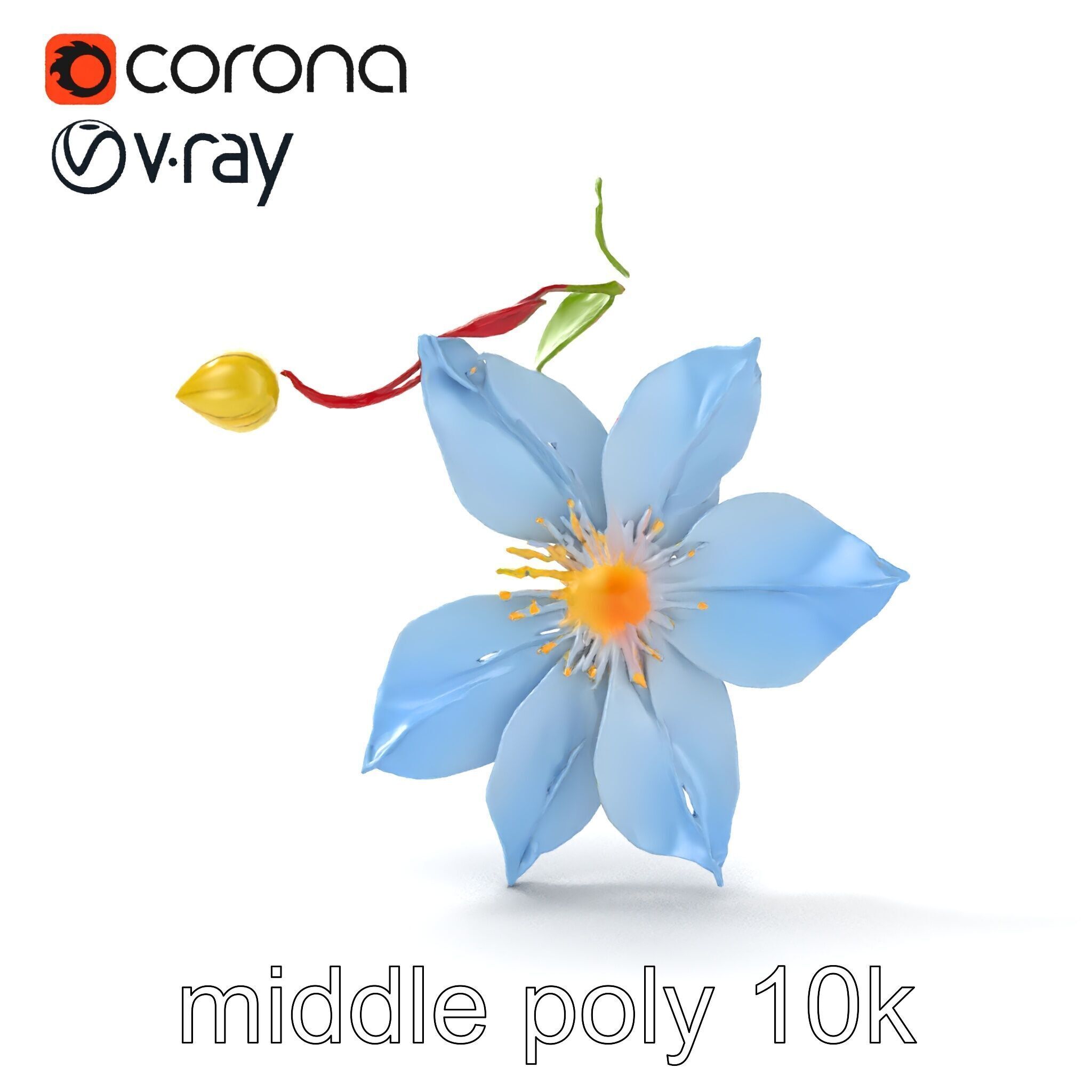 Clematis Vine Flower Model Pack Low-poly 3D model_12