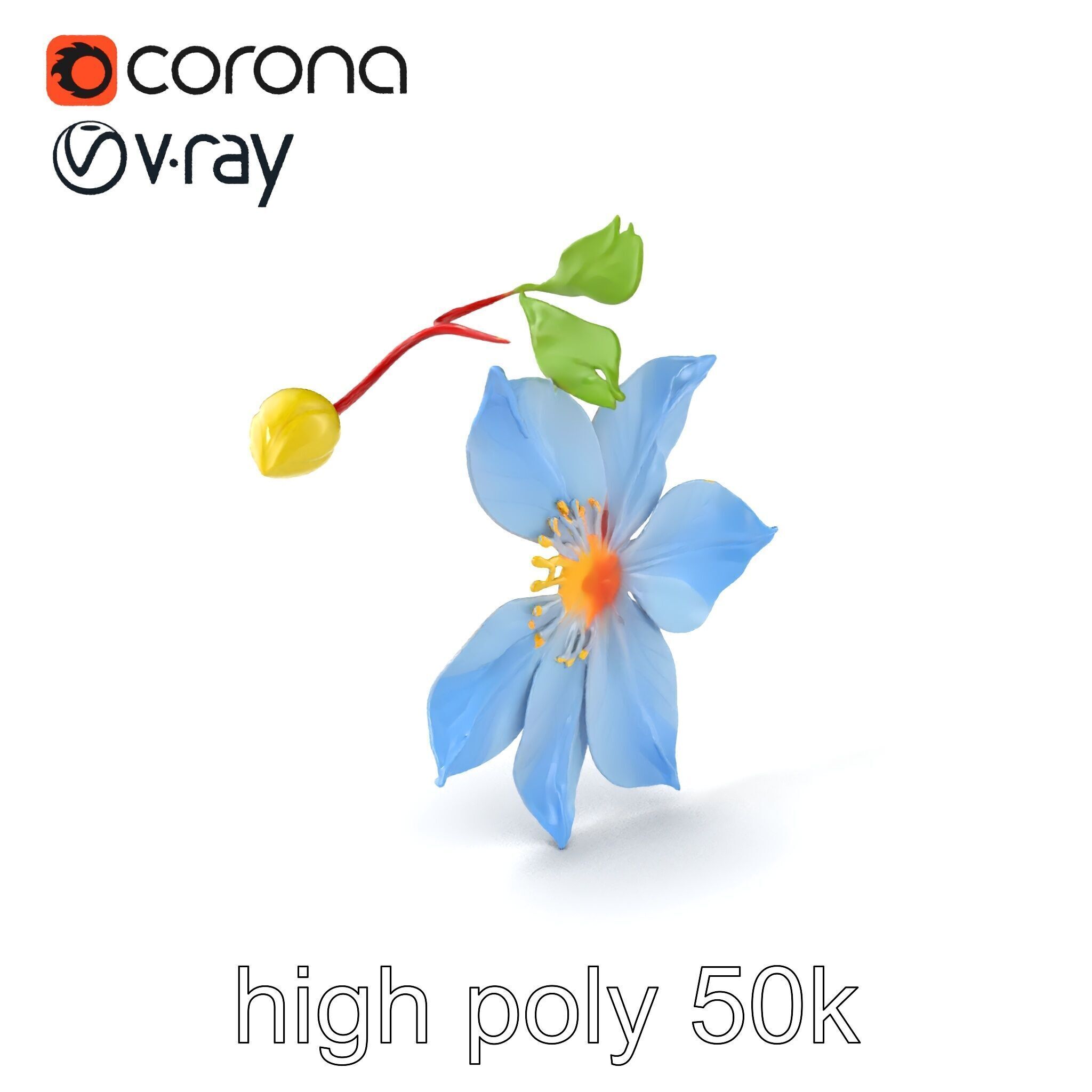 Clematis Vine Flower Model Pack Low-poly 3D model_2