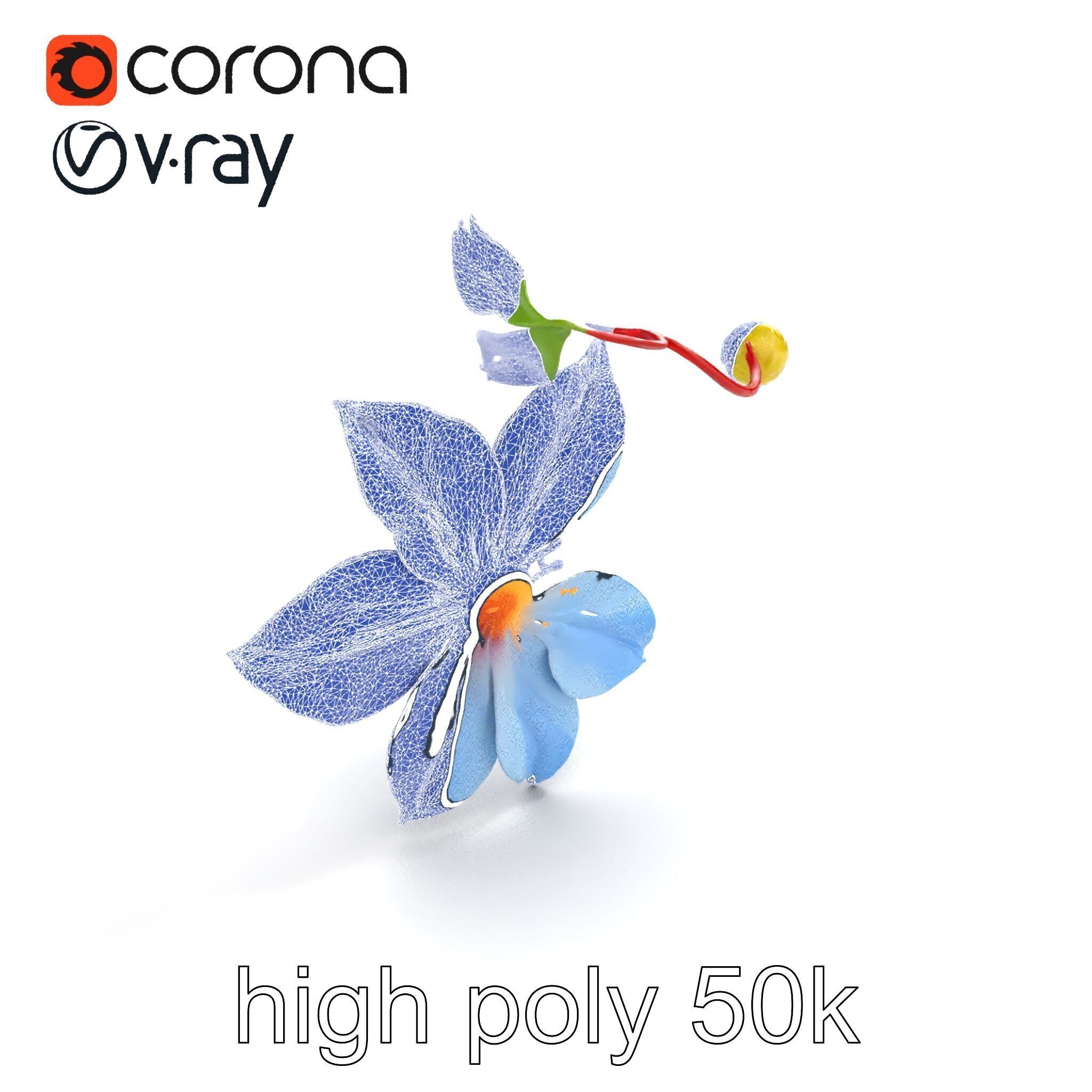 Clematis Vine Flower Model Pack Low-poly 3D model_11