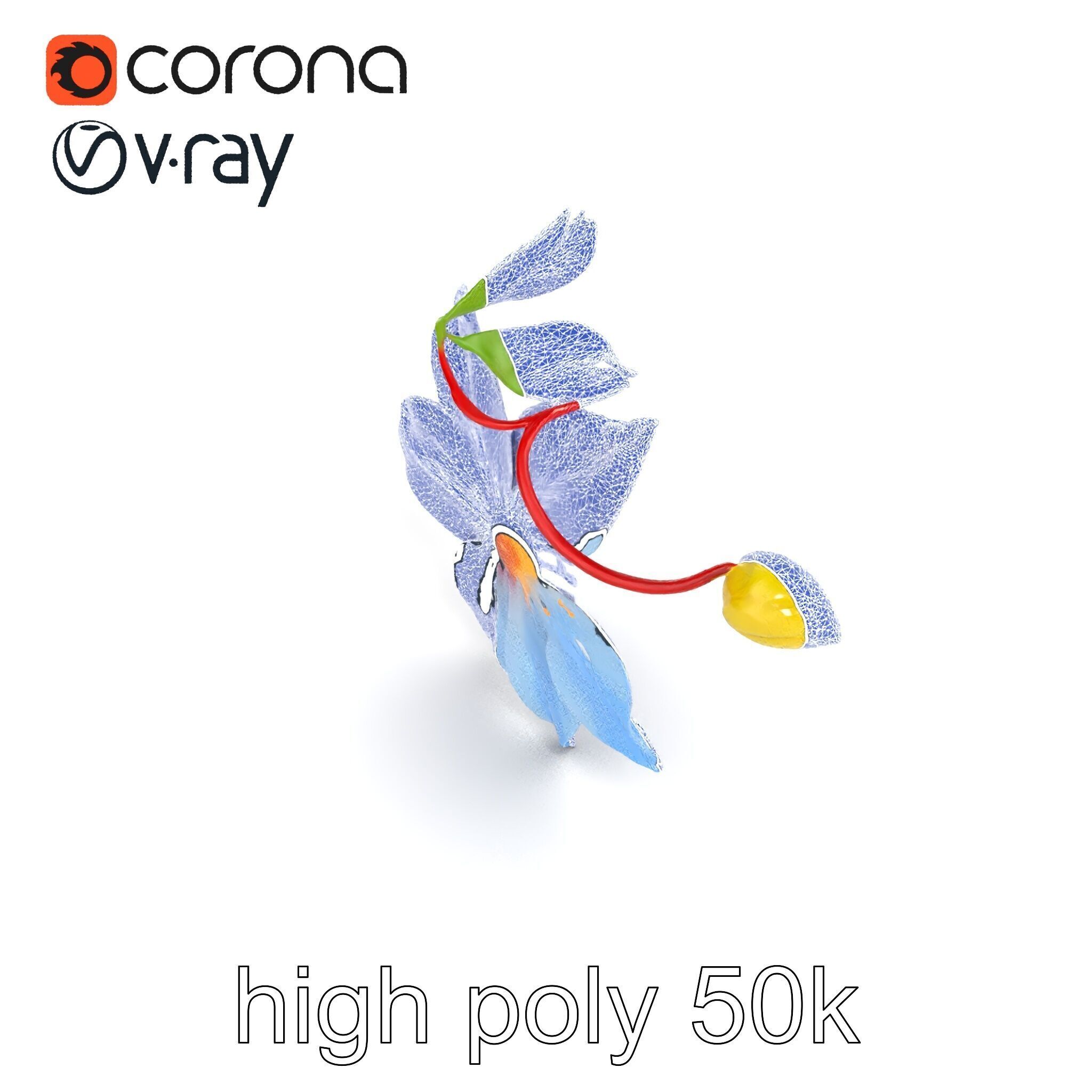 Clematis Vine Flower Model Pack Low-poly 3D model_16