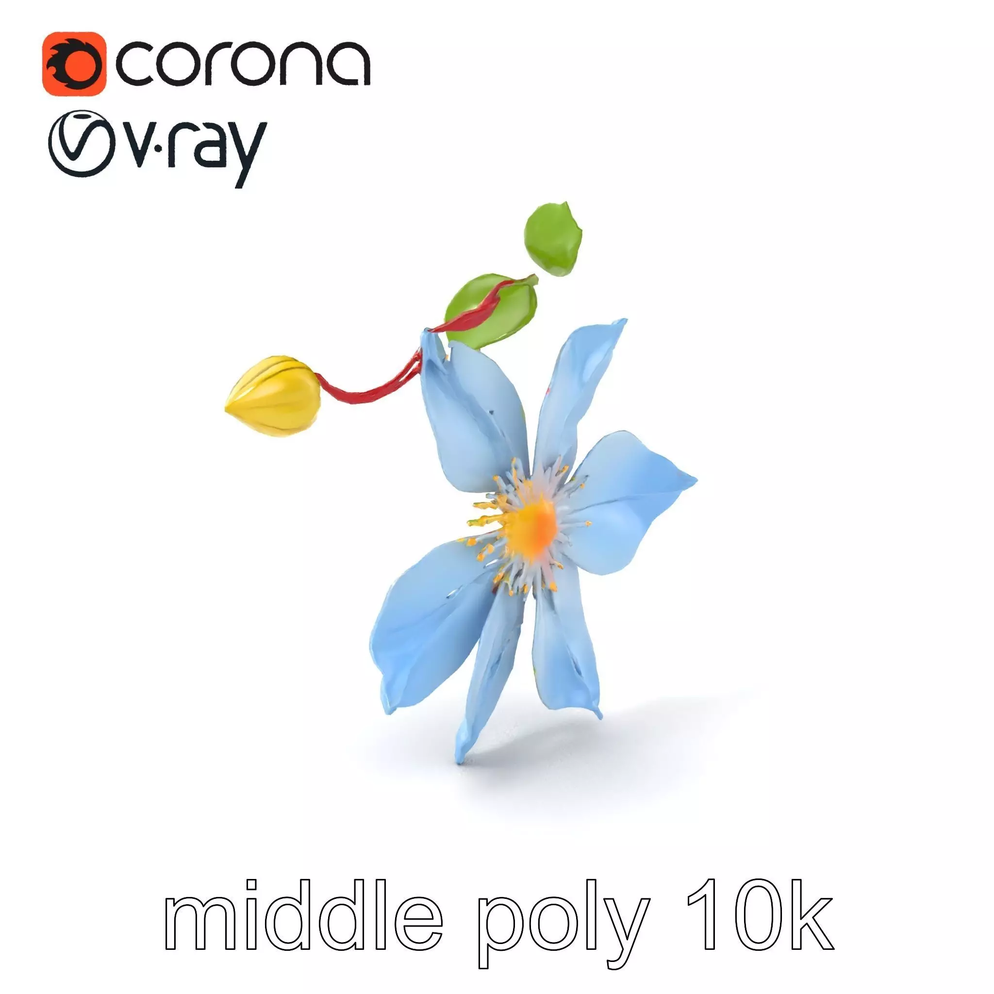 Clematis Vine Flower Model Pack Low-poly 3D model_0