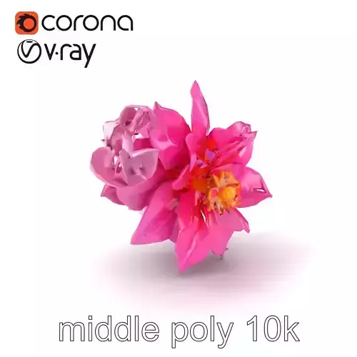 Lush Double Clematis Flower Plant model pack