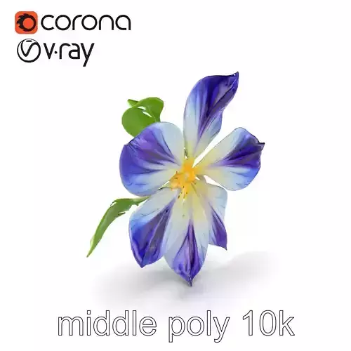 Two-Tone Clematis Flower Realistic Model Pack