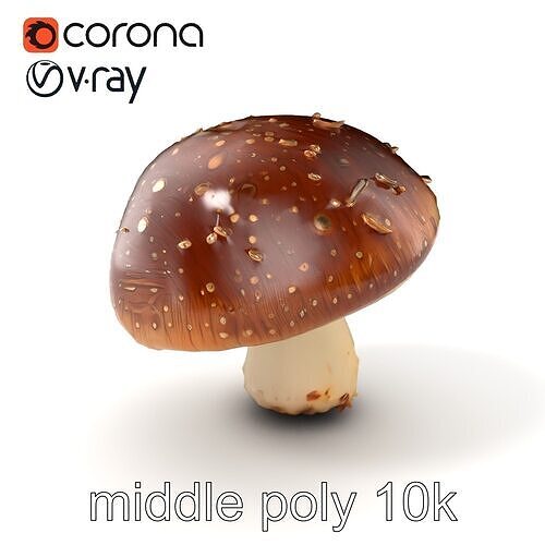 Dewy Boletus Mushroom Realistic model pack Low-poly 3D model