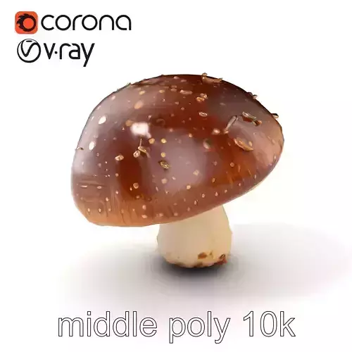 Dewy Boletus Mushroom Realistic model pack