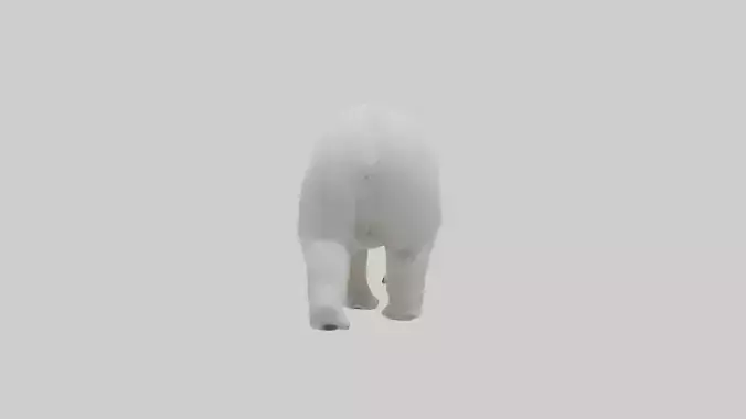 Polar Bear walking model