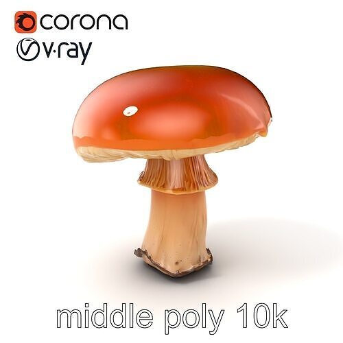 Autumn Boletus Mushroom Realistic Textures model pack Low-poly 3D model