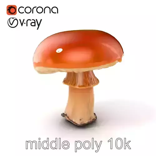 Autumn Boletus Mushroom Realistic Textures model pack