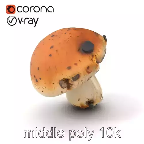 Realistic Damaged Boletus Mushroom model pack