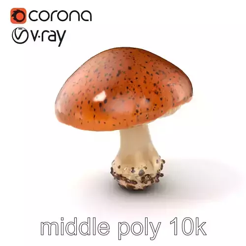 Giant Boletus Mushroom Realistic Textured model pack