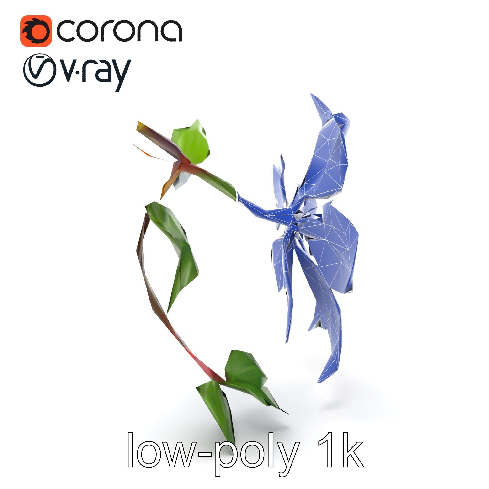 Clematis Flower Detailed Botanical Model Pack Low-poly 3D model_15