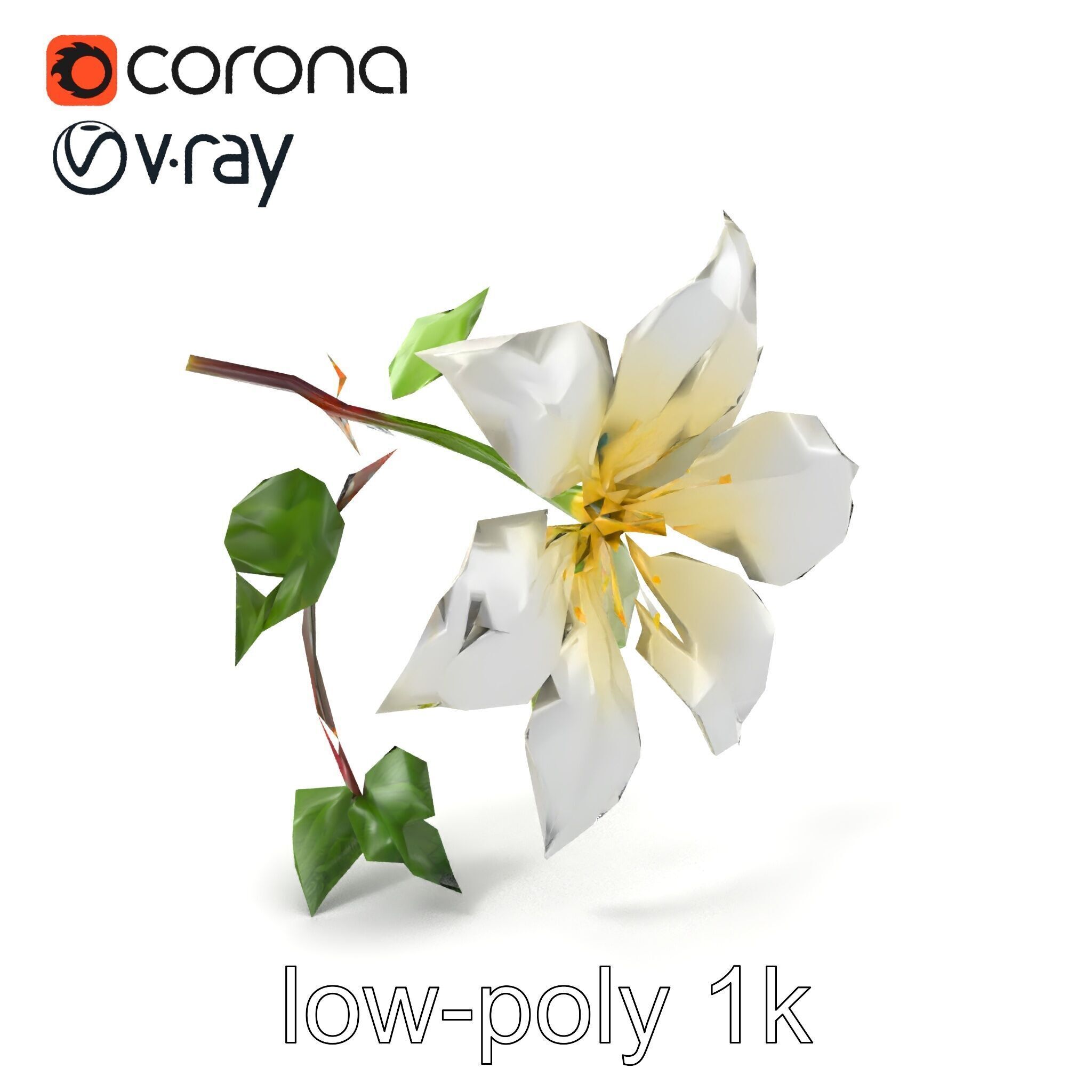 Clematis Flower Detailed Botanical Model Pack Low-poly 3D model_5