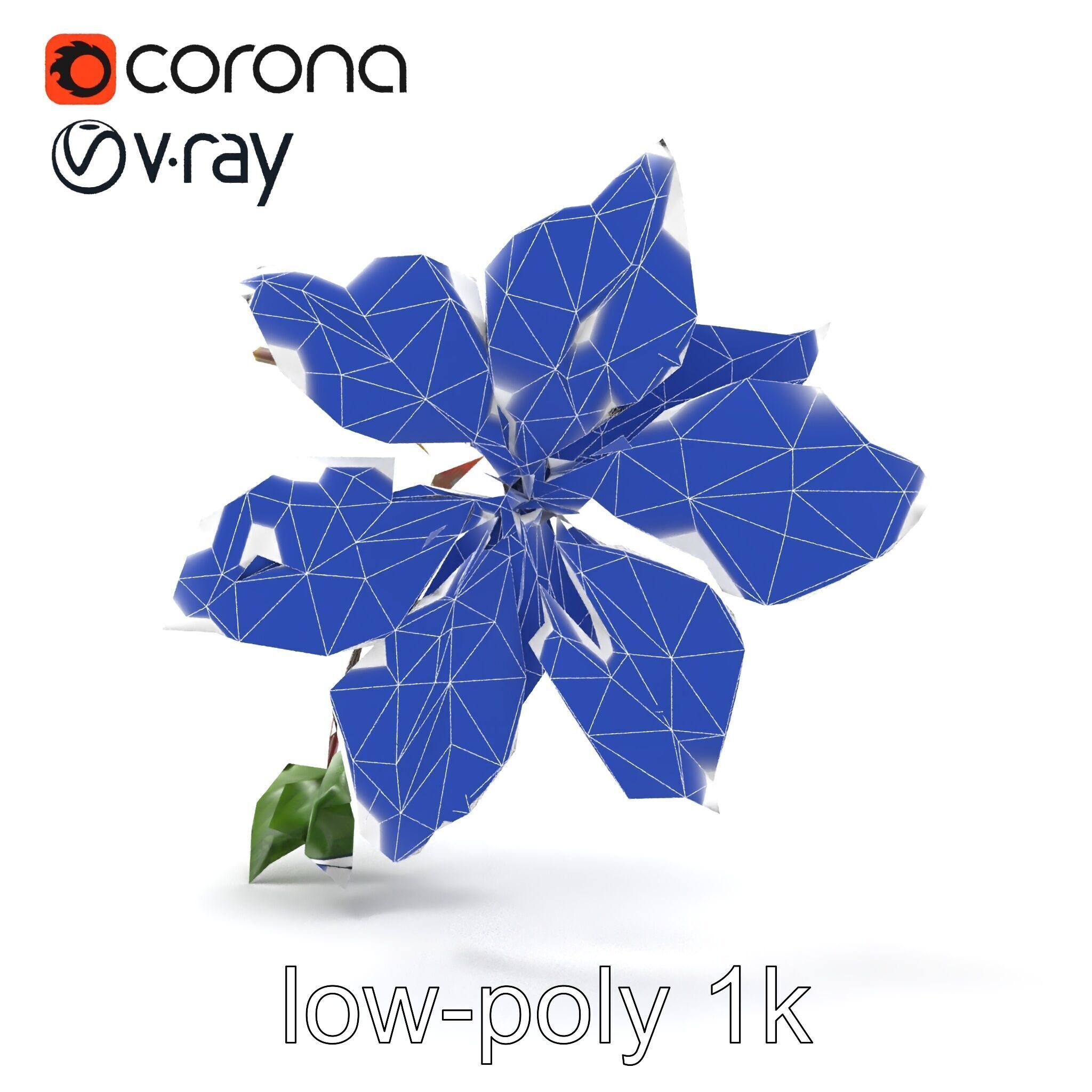 Clematis Flower Detailed Botanical Model Pack Low-poly 3D model_32