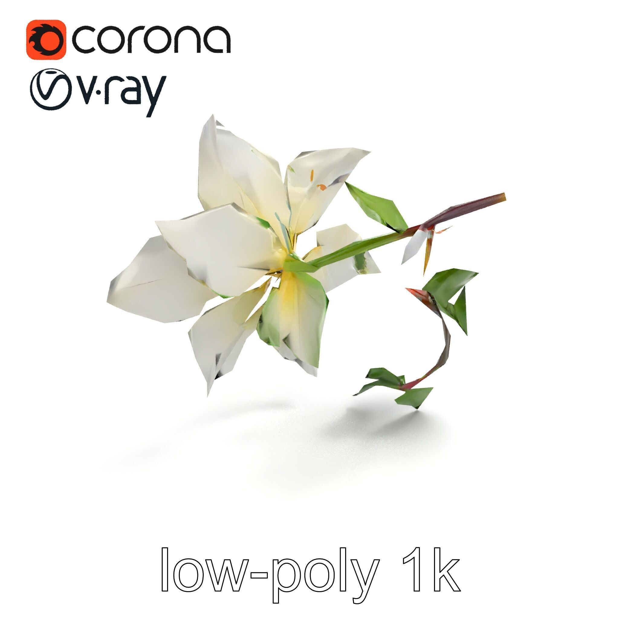 Clematis Flower Detailed Botanical Model Pack Low-poly 3D model_9