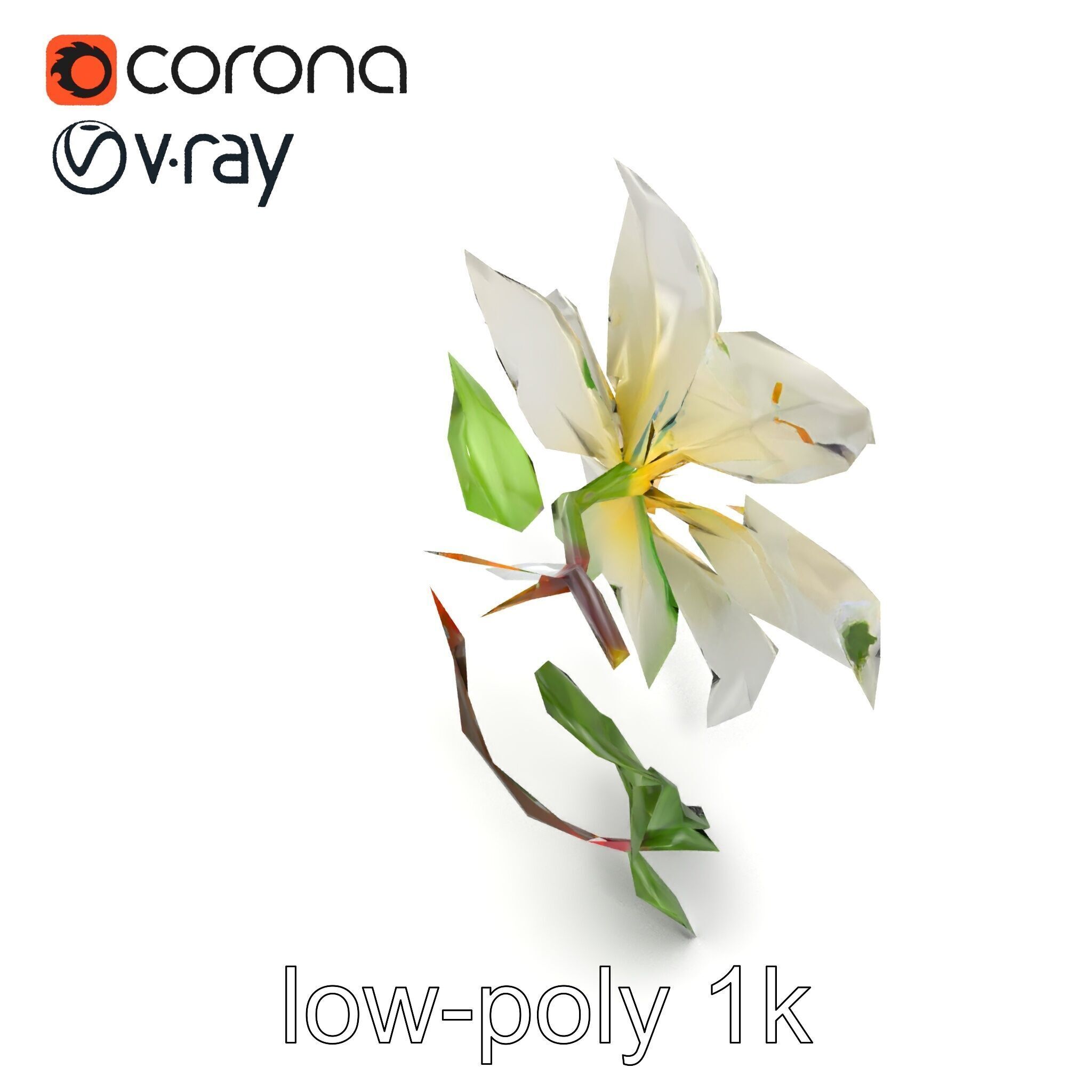 Clematis Flower Detailed Botanical Model Pack Low-poly 3D model_13