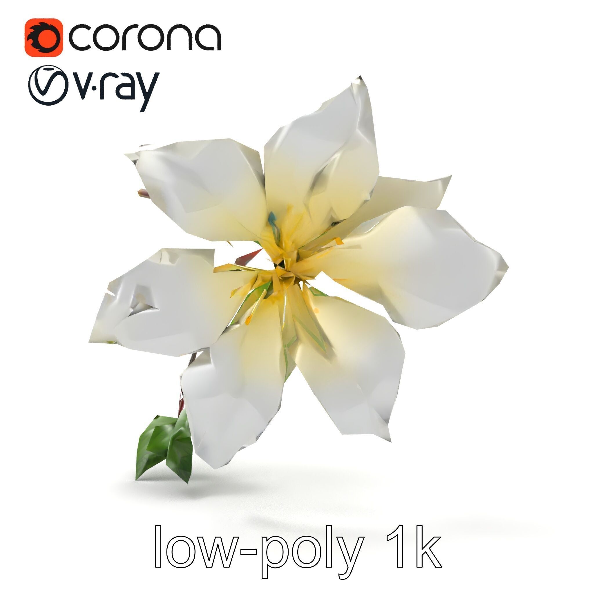 Clematis Flower Detailed Botanical Model Pack Low-poly 3D model_12