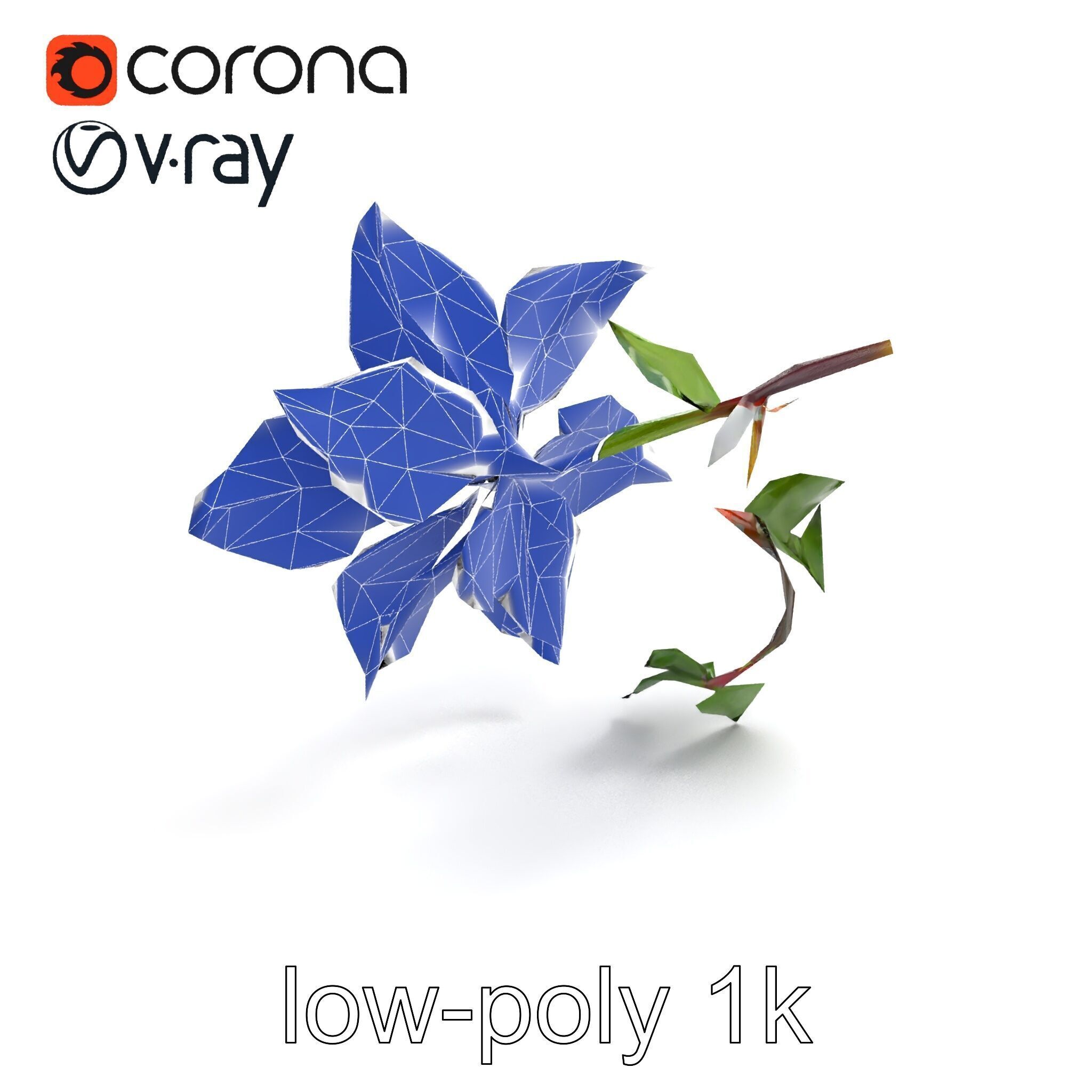 Clematis Flower Detailed Botanical Model Pack Low-poly 3D model_17