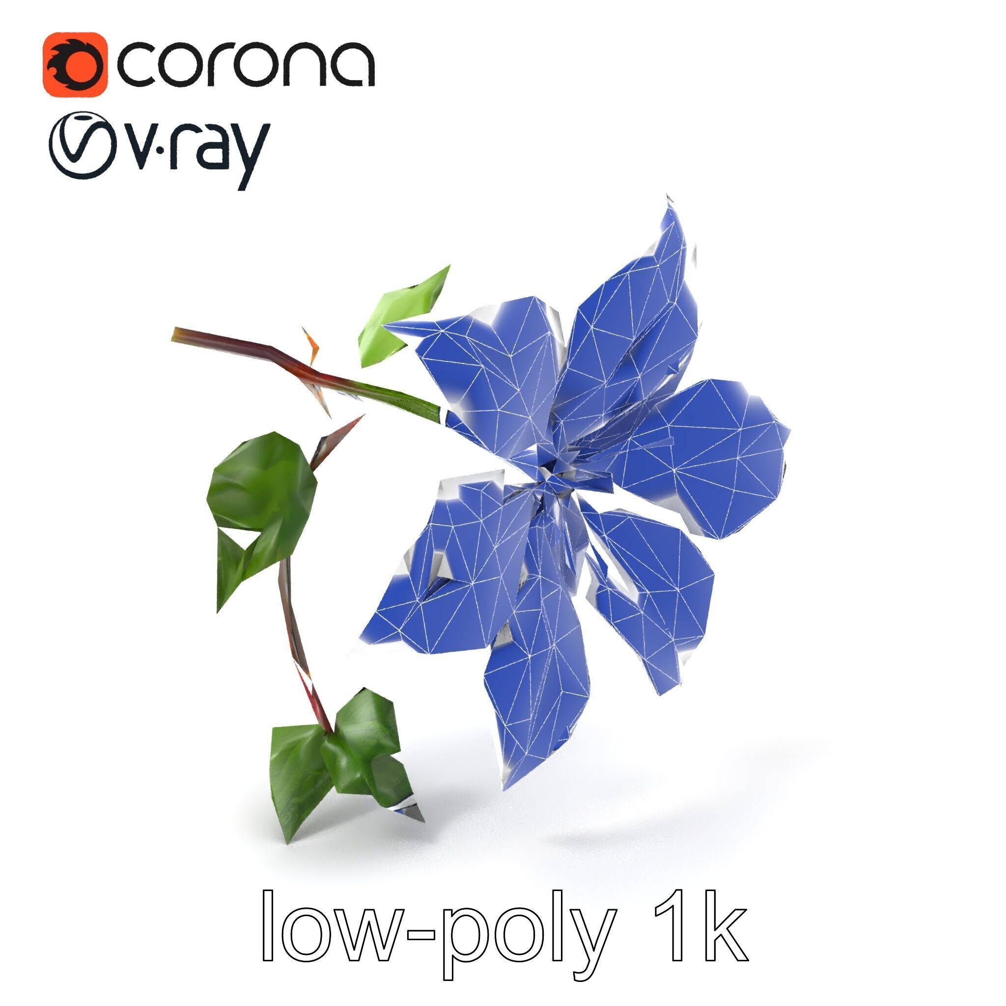 Clematis Flower Detailed Botanical Model Pack Low-poly 3D model_7