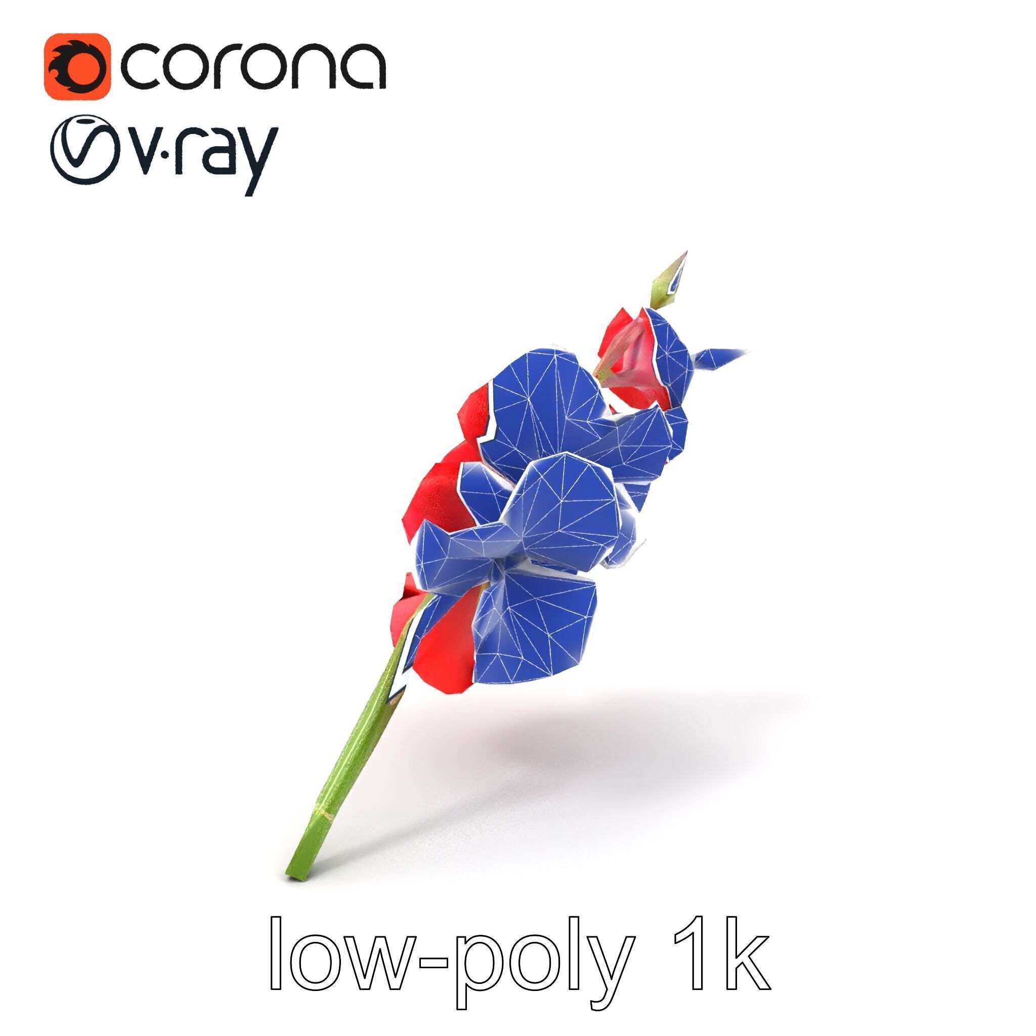 Gladiolus Red Bloom model pack Low-poly 3D model_7