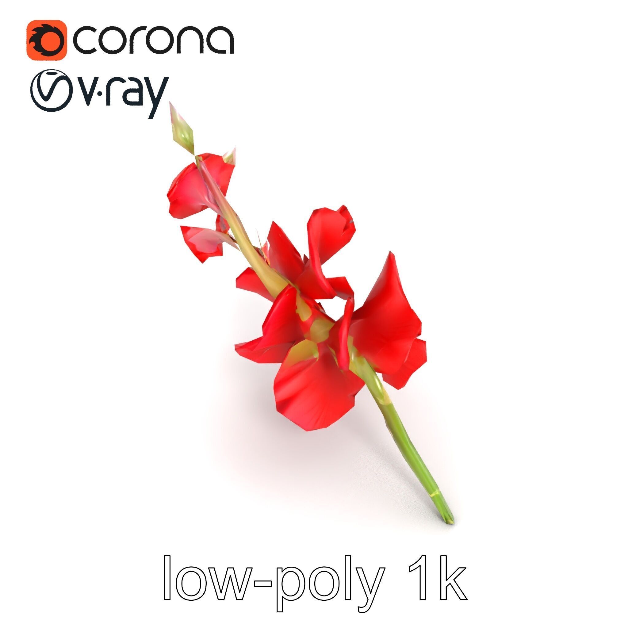 Gladiolus Red Bloom model pack Low-poly 3D model_31