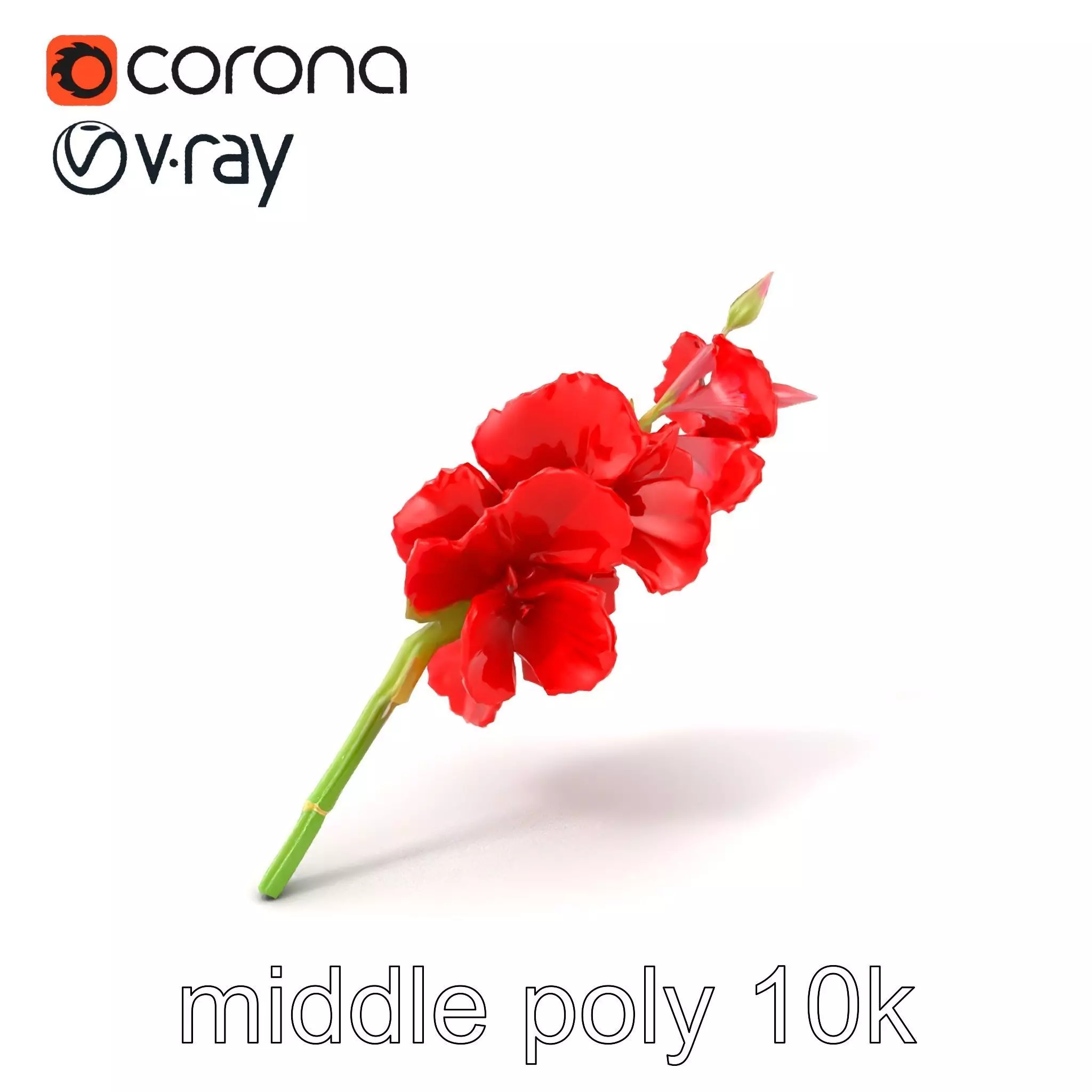 Gladiolus Red Bloom model pack Low-poly 3D model_0