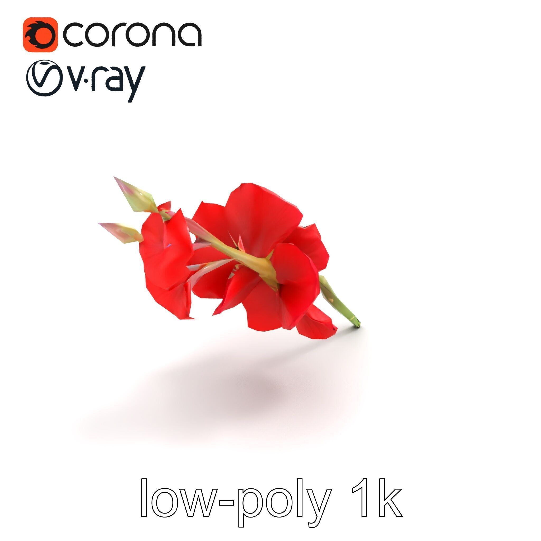 Gladiolus Red Bloom model pack Low-poly 3D model_9
