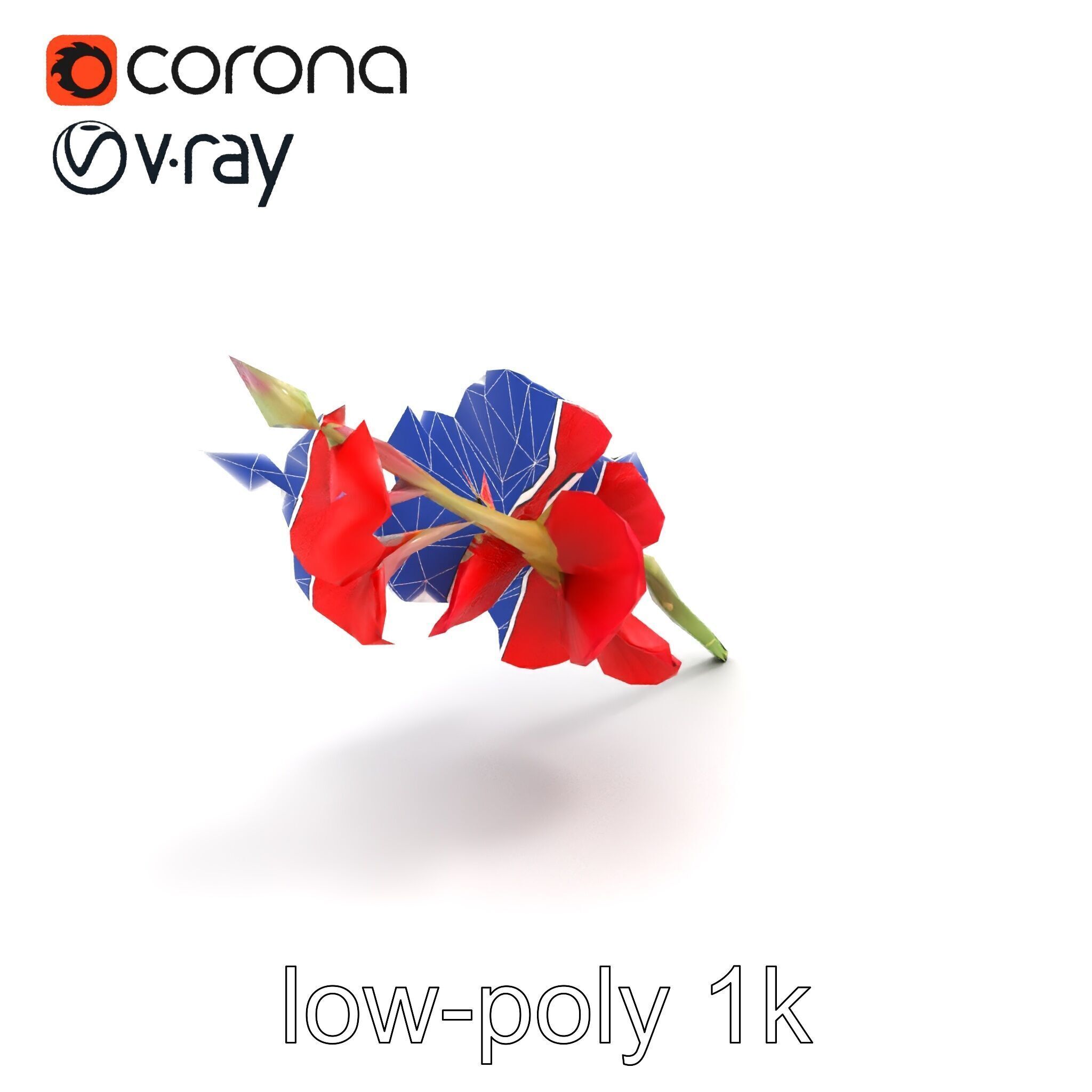 Gladiolus Red Bloom model pack Low-poly 3D model_12