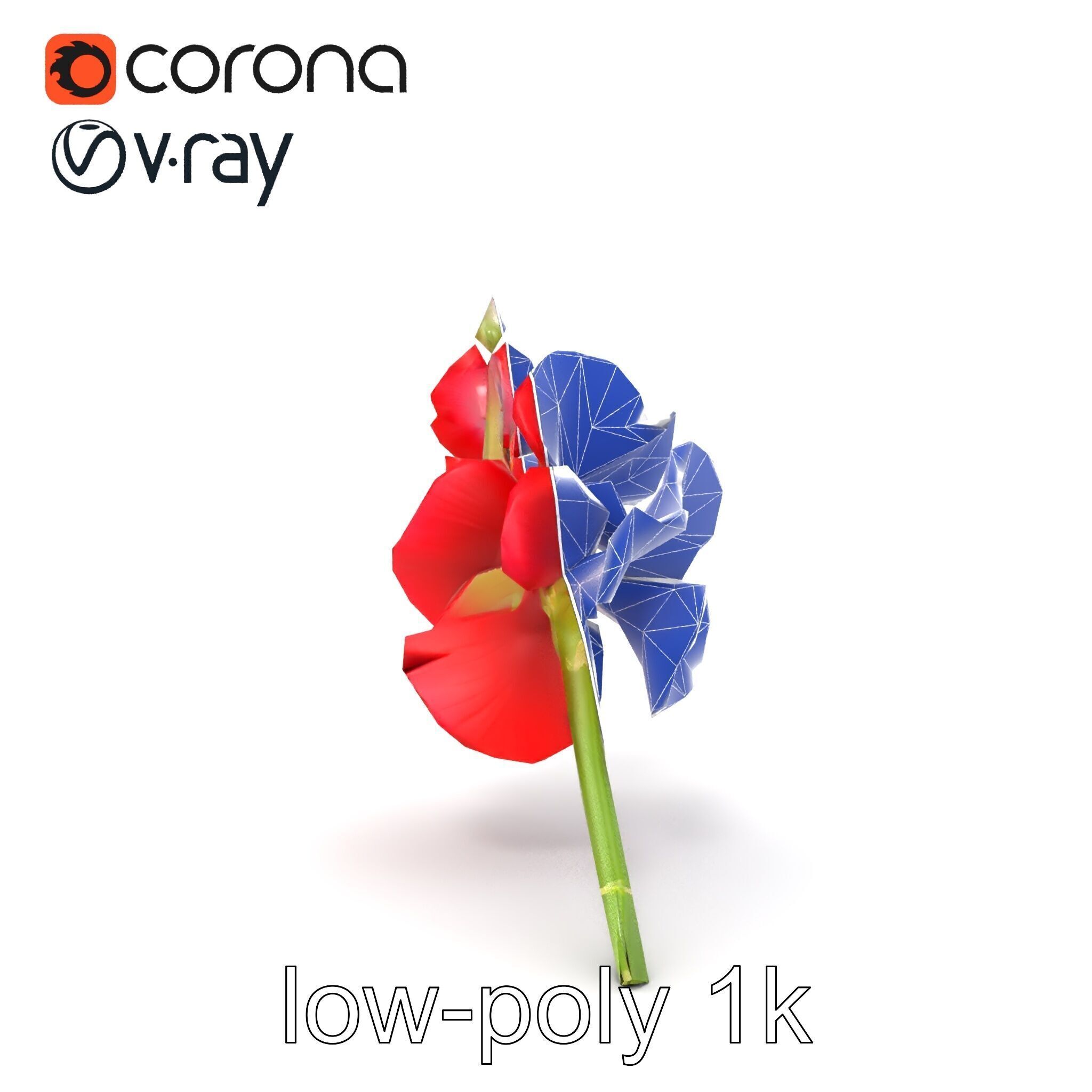 Gladiolus Red Bloom model pack Low-poly 3D model_29