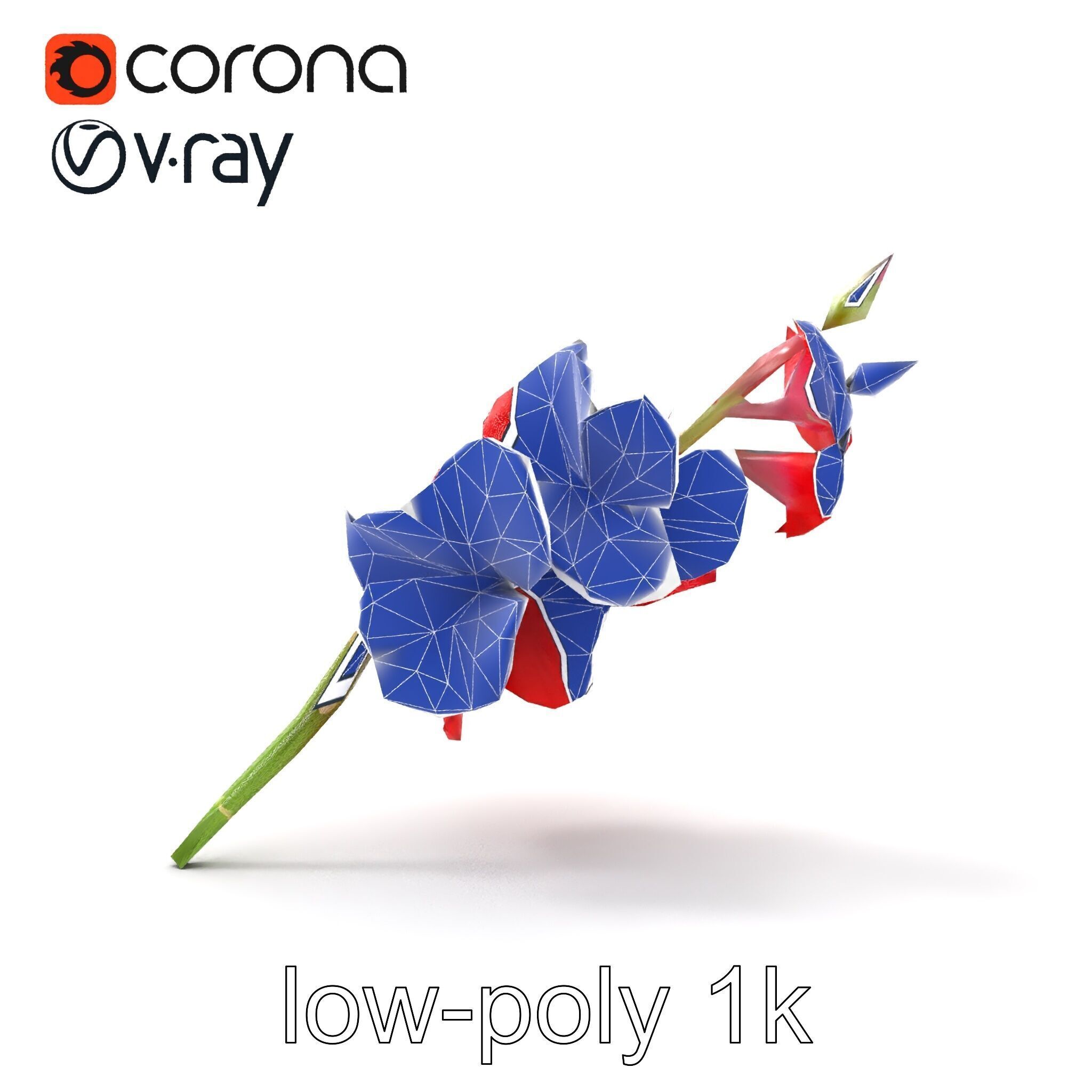 Gladiolus Red Bloom model pack Low-poly 3D model_18