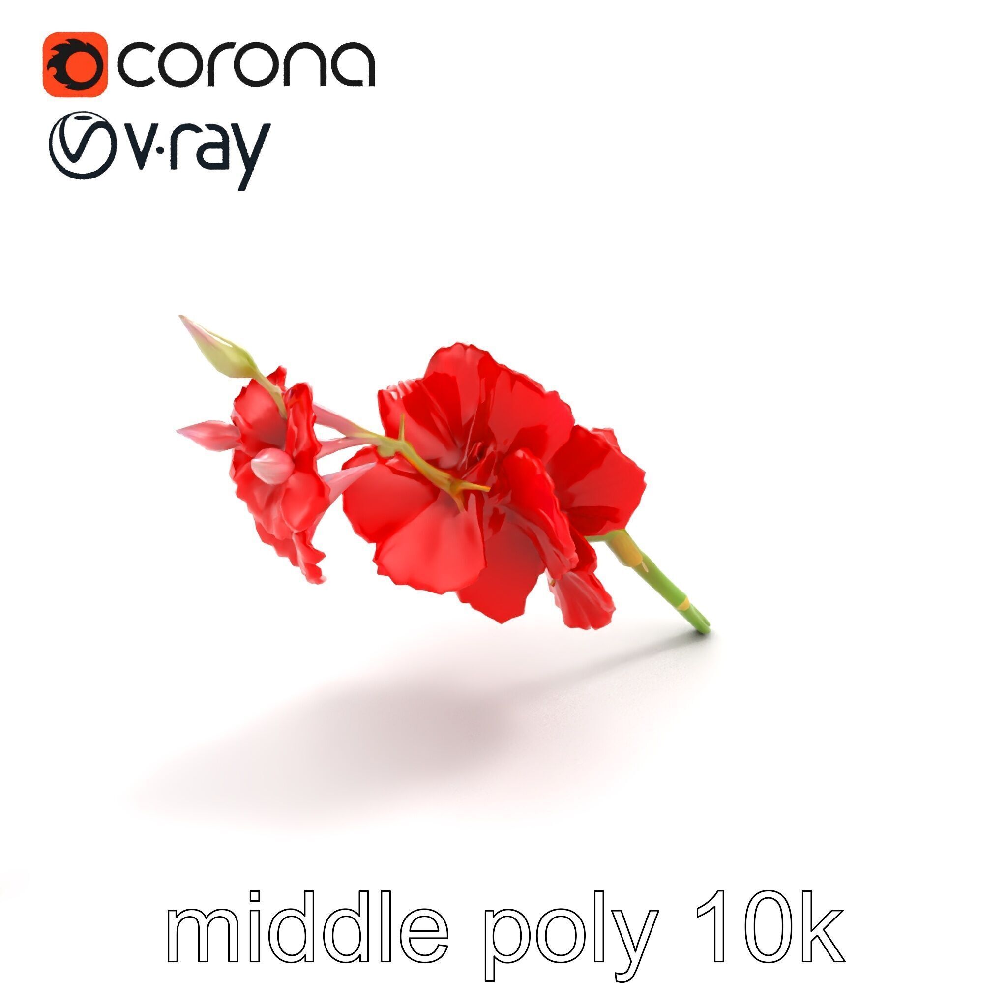 Gladiolus Red Bloom model pack Low-poly 3D model_8