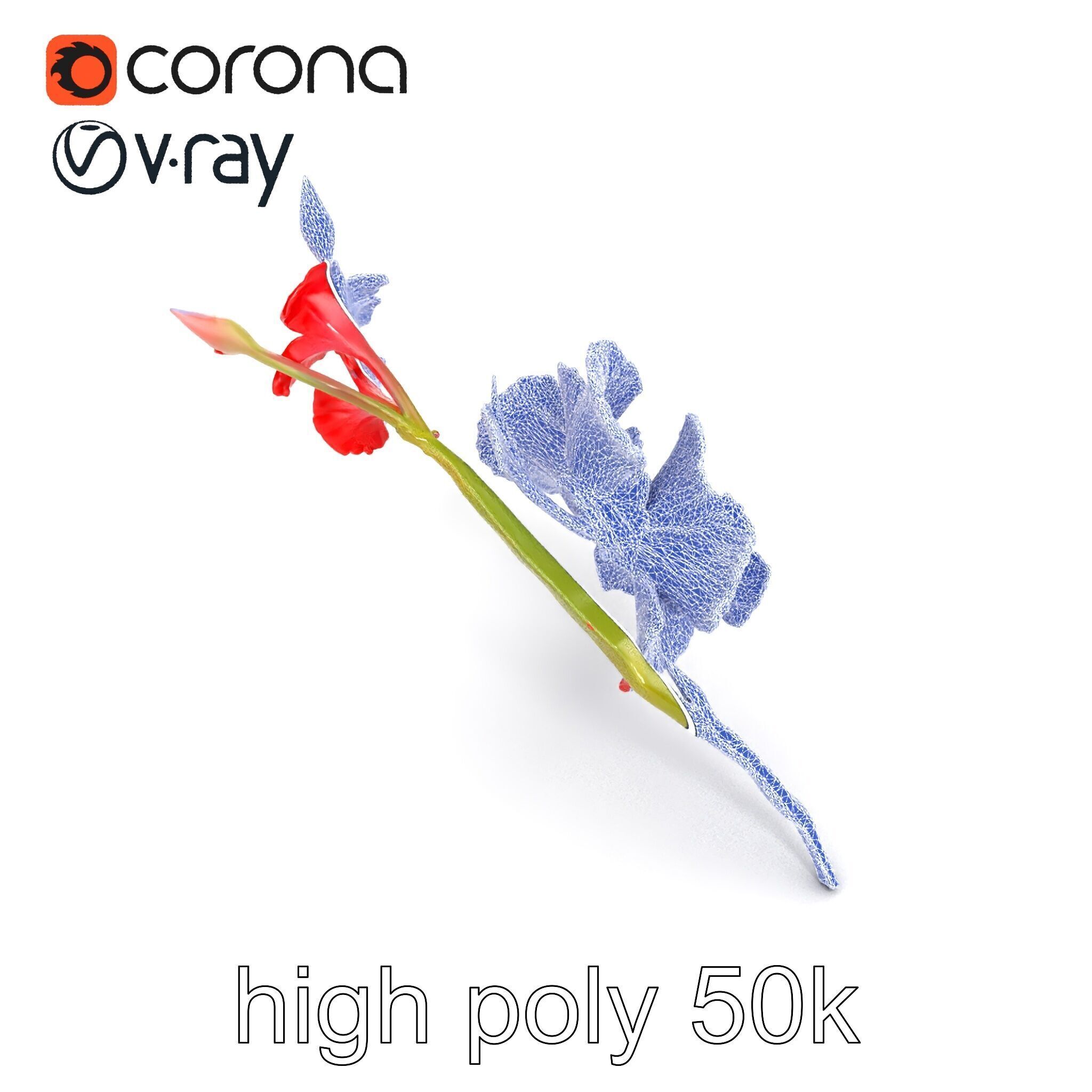 Gladiolus Red Bloom model pack Low-poly 3D model_20