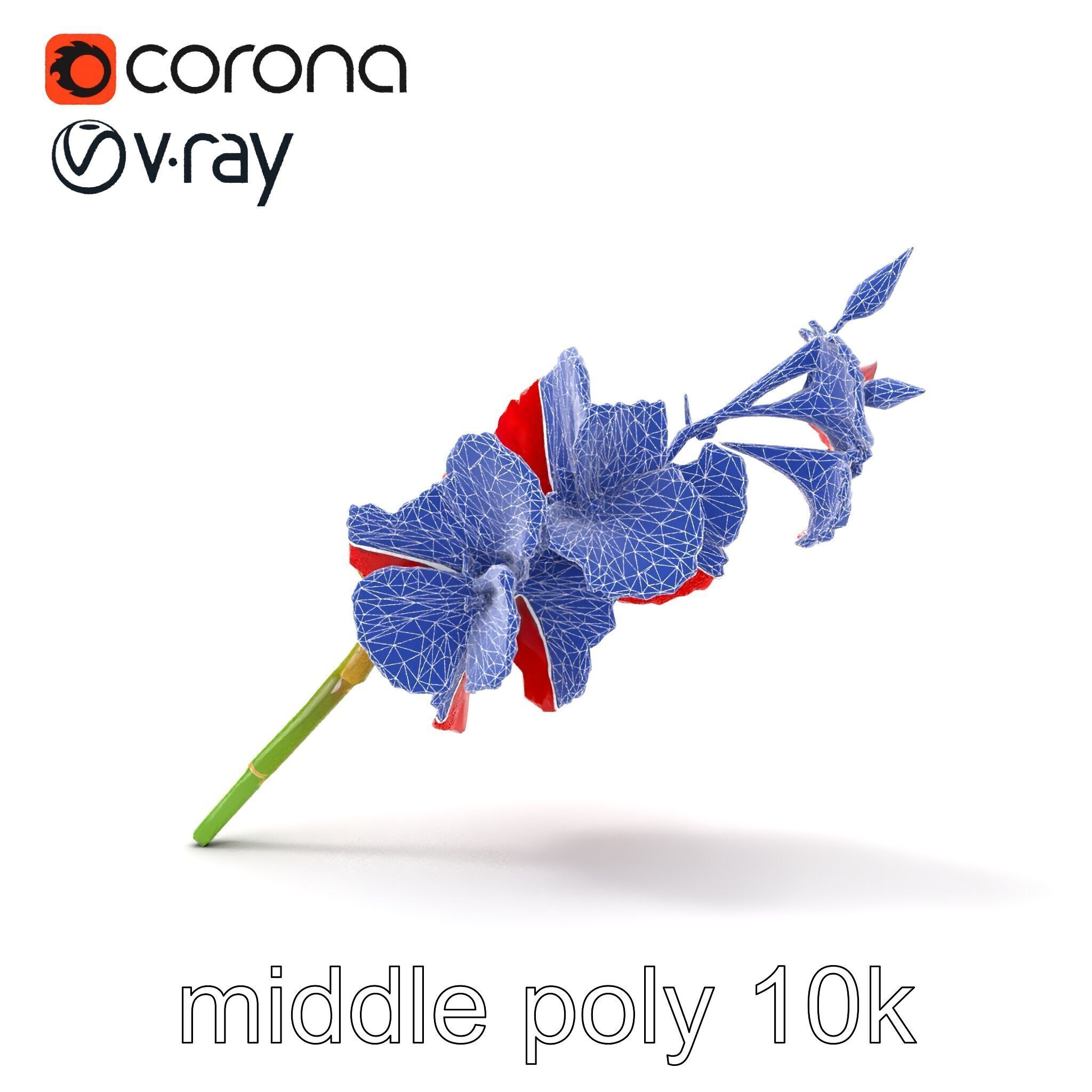 Gladiolus Red Bloom model pack Low-poly 3D model_30