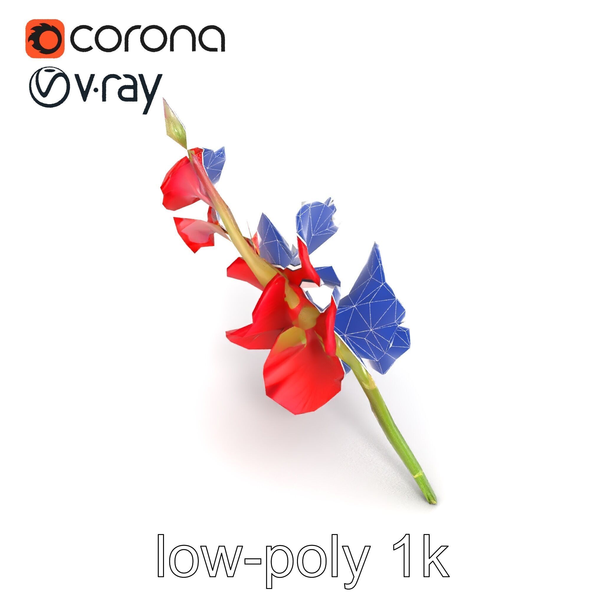 Gladiolus Red Bloom model pack Low-poly 3D model_23