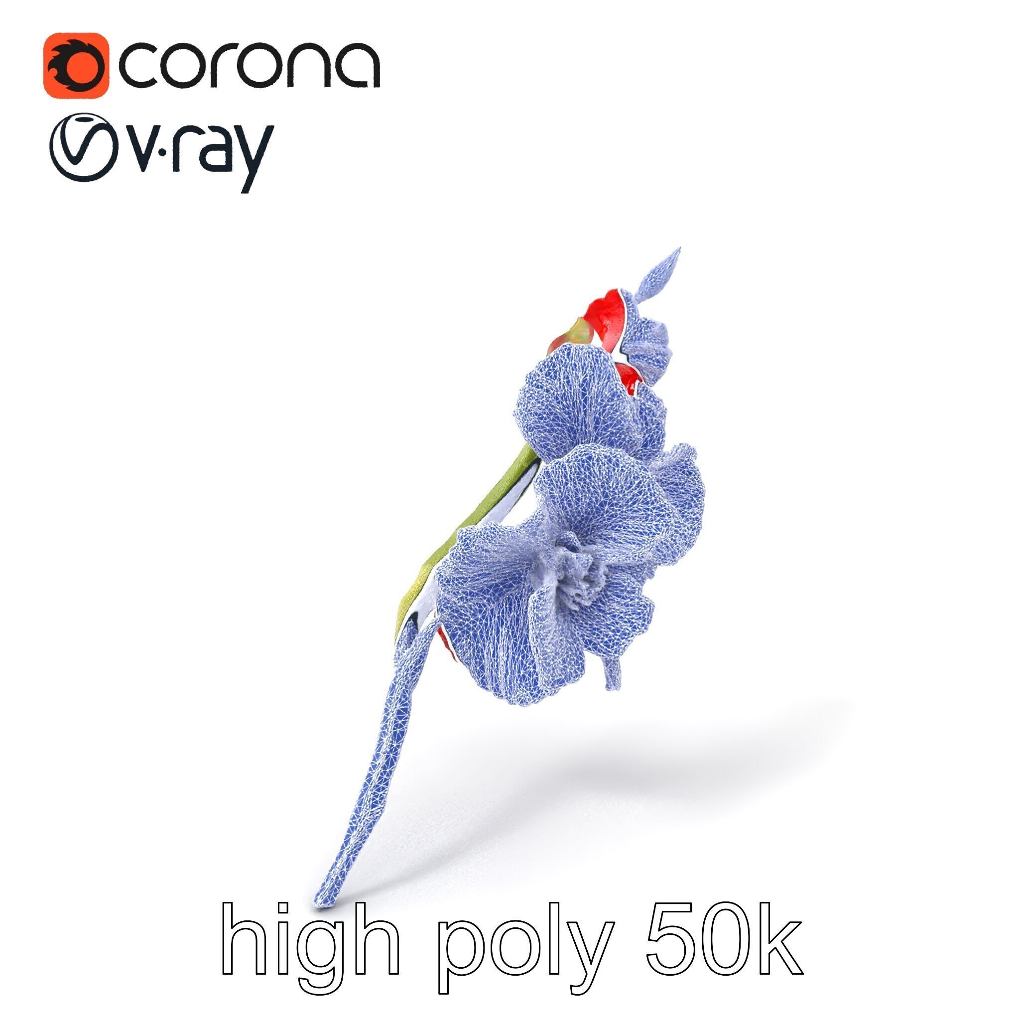 Gladiolus Red Bloom model pack Low-poly 3D model_10